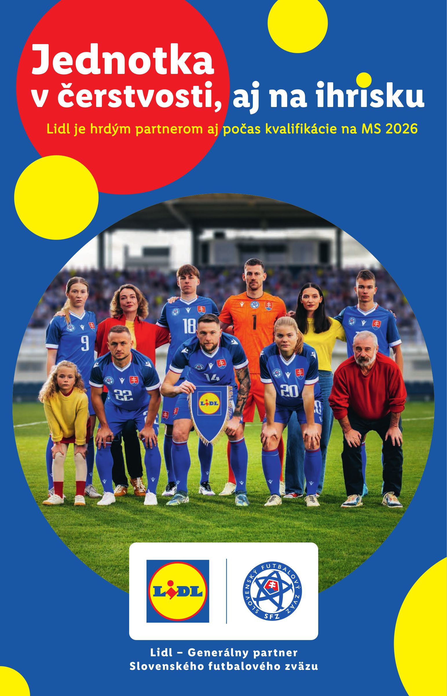 lidl - Leták Lidl platný od 09.10. do 12.10. - page: 12