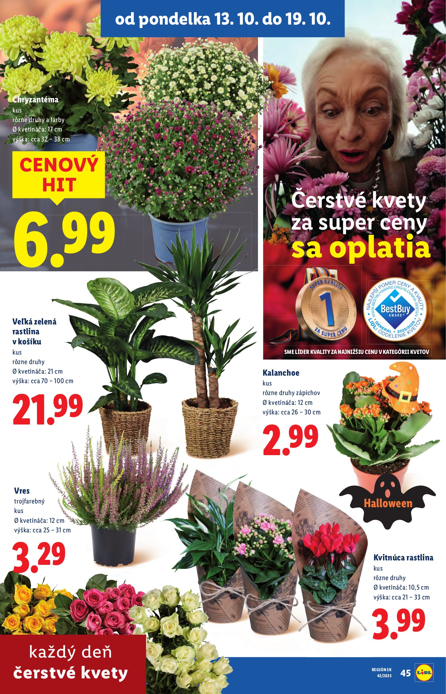 lidl - Leták Lidl platný od 13.10. do 19.10. - page: 71