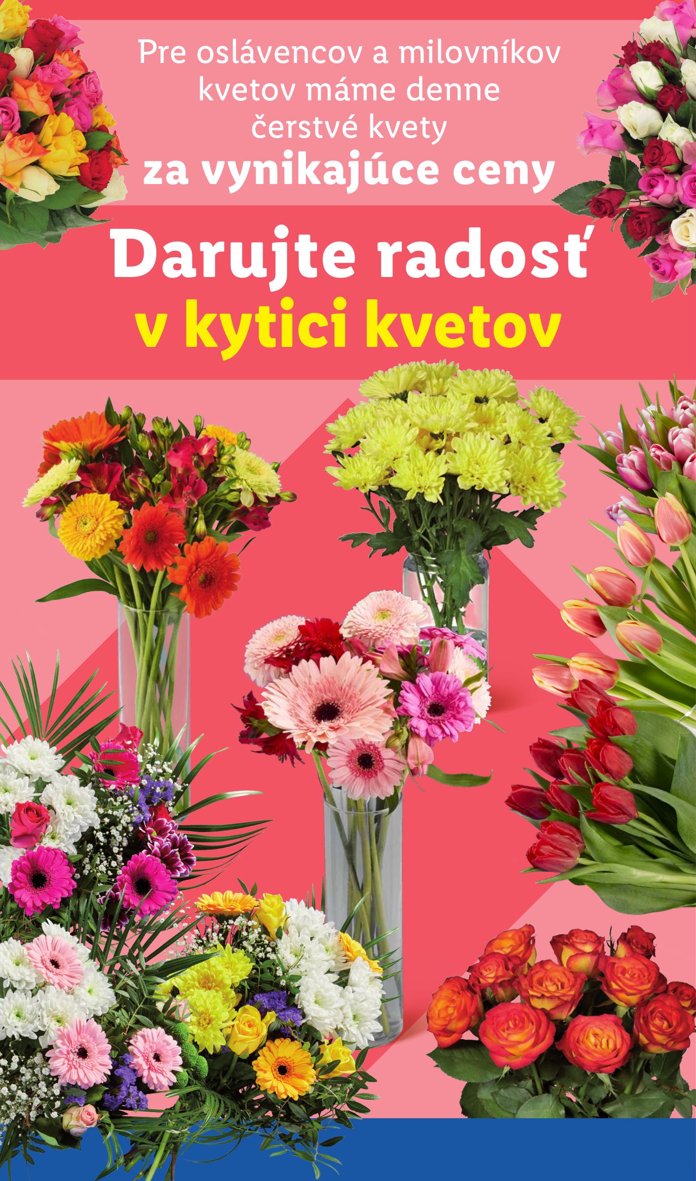 lidl - Leták Lidl platný od 13.11. do 16.11. - page: 34