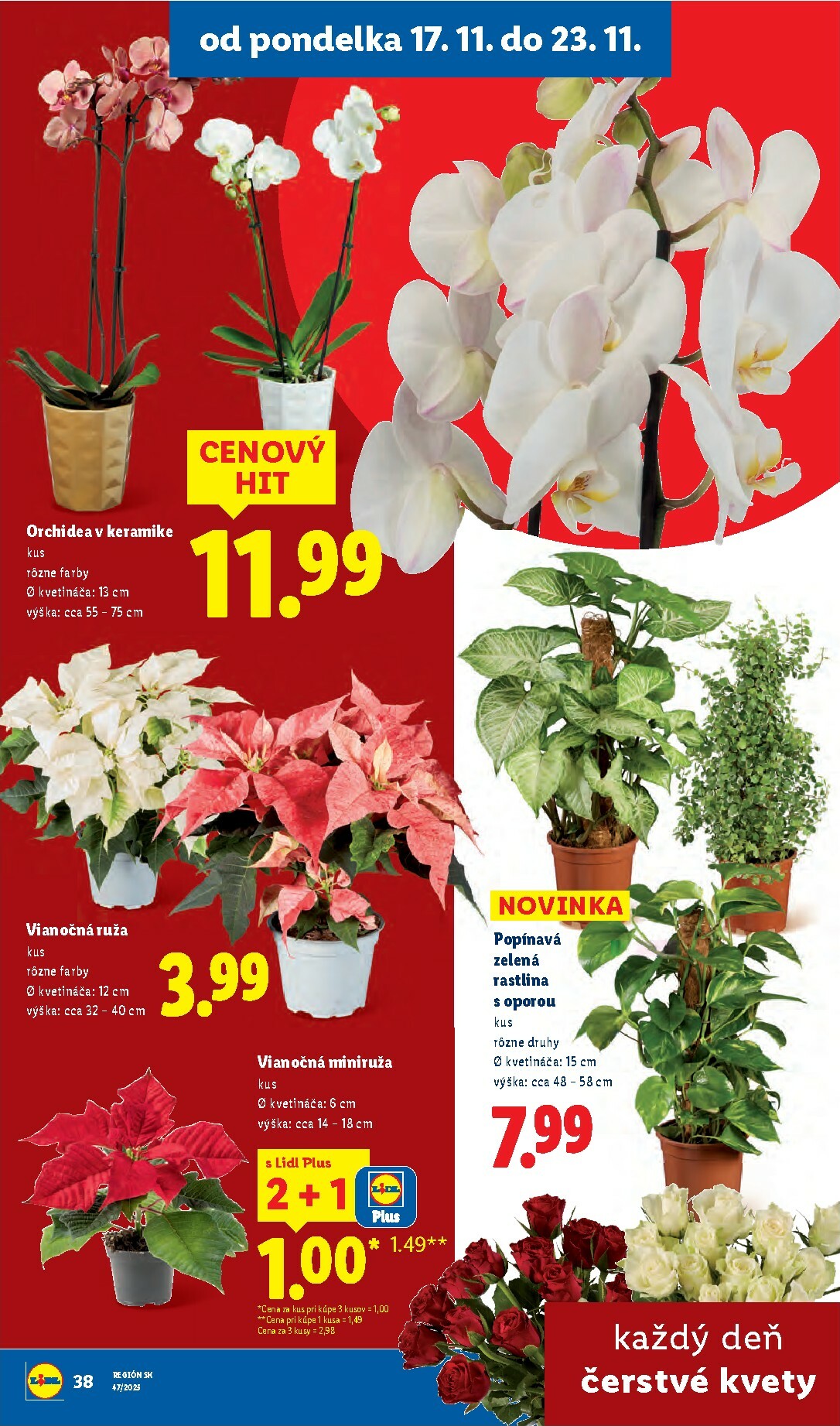 lidl - Leták Lidl platný od 17.11. do 23.11. - page: 55