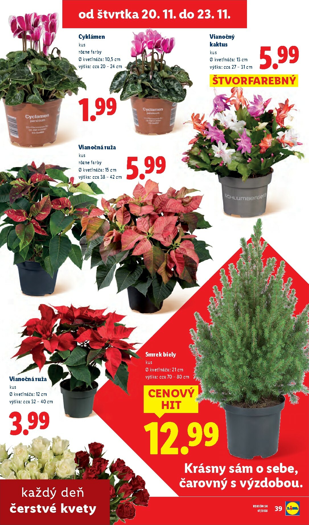 lidl - Leták Lidl platný od 17.11. do 23.11. - page: 81