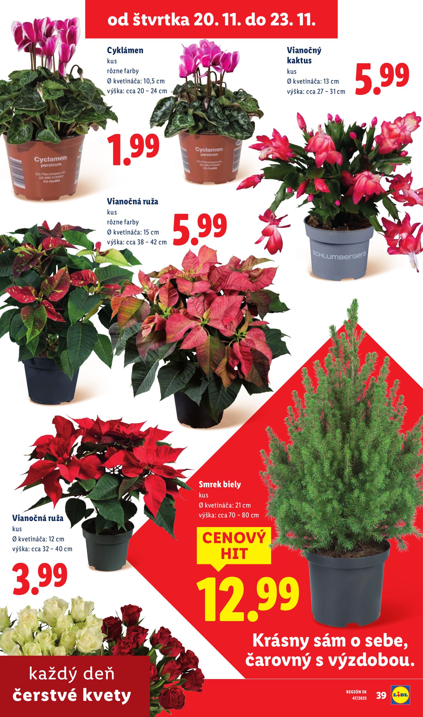 lidl - Leták Lidl platný od 20.11. do 23.11. - page: 31