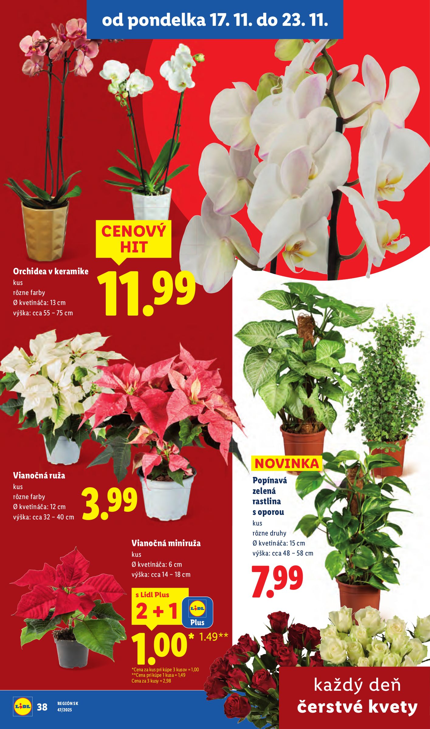 lidl - Leták Lidl platný od 20.11. do 23.11. - page: 97