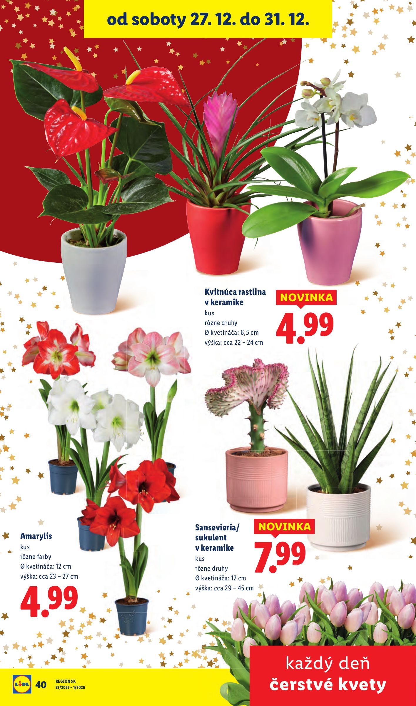 lidl - Leták Lidl platný od 27.12. do 31.12. - page: 50