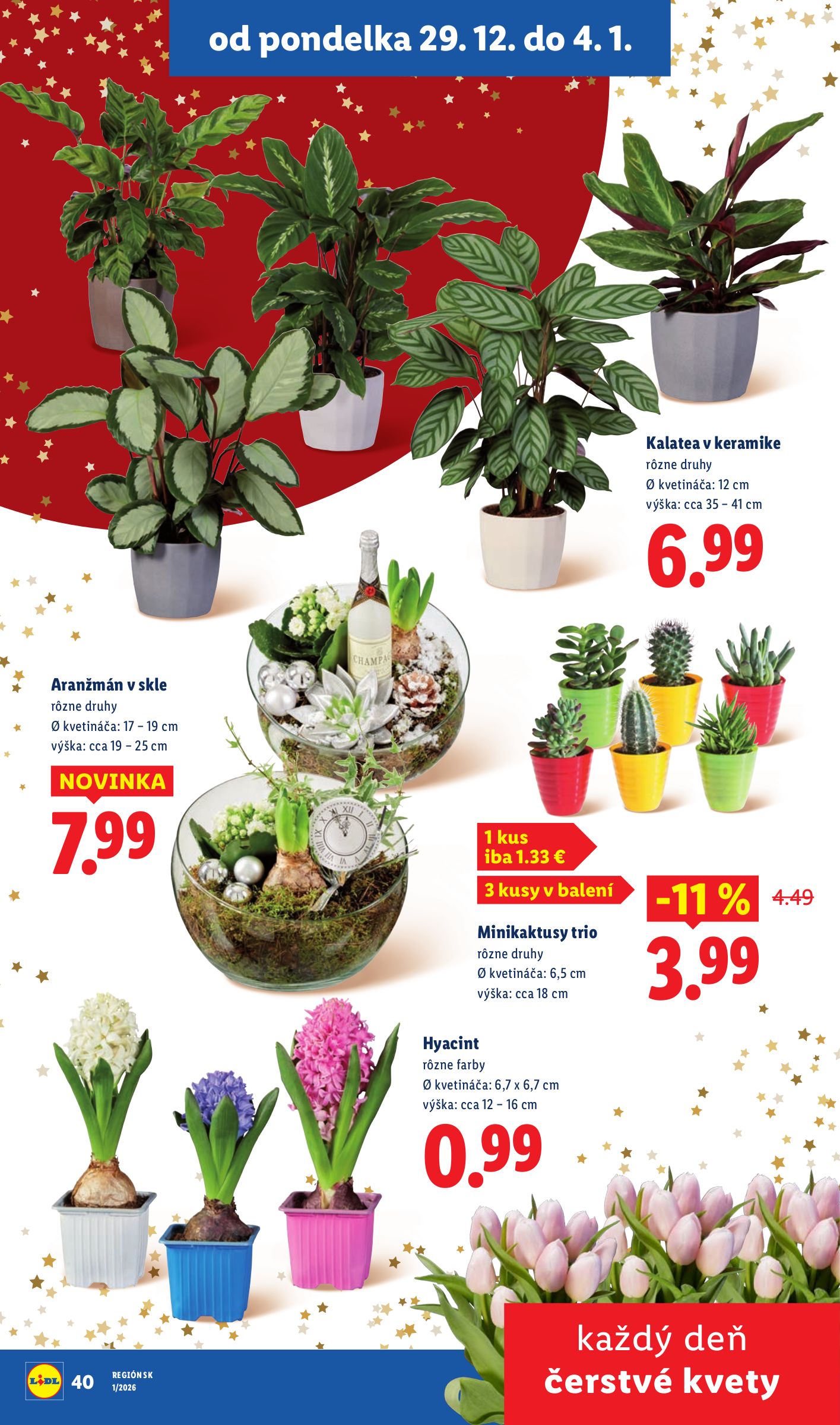 lidl - Leták Lidl platný od 02.01. do 04.01. - page: 41