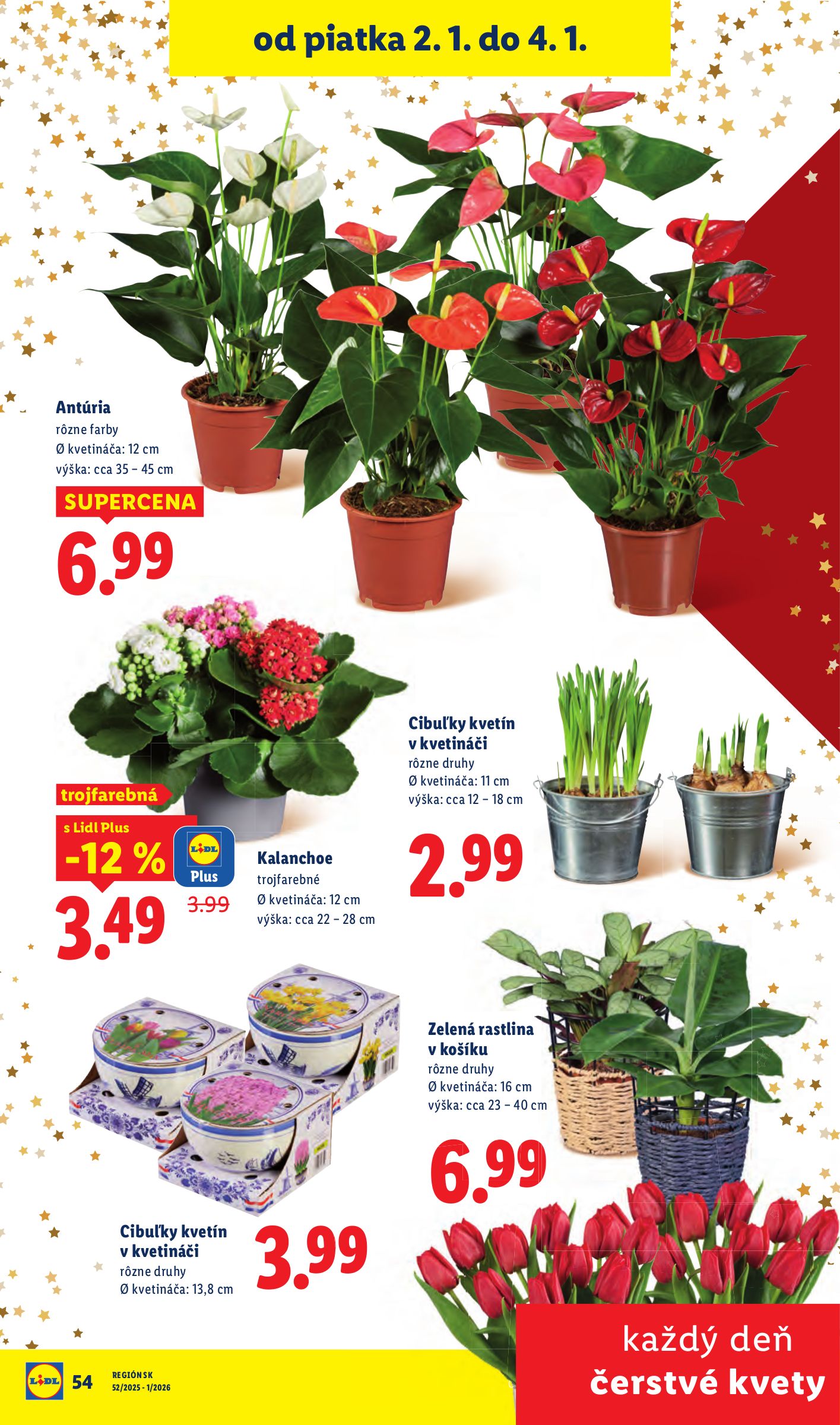 lidl - Leták Lidl platný od 02.01. do 04.01. - page: 20
