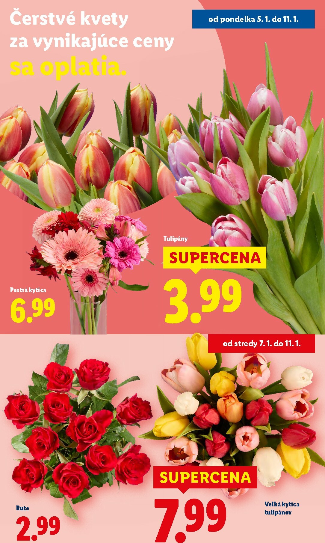 lidl - Leták Lidl platný od 05.01. do 11.01. - page: 52