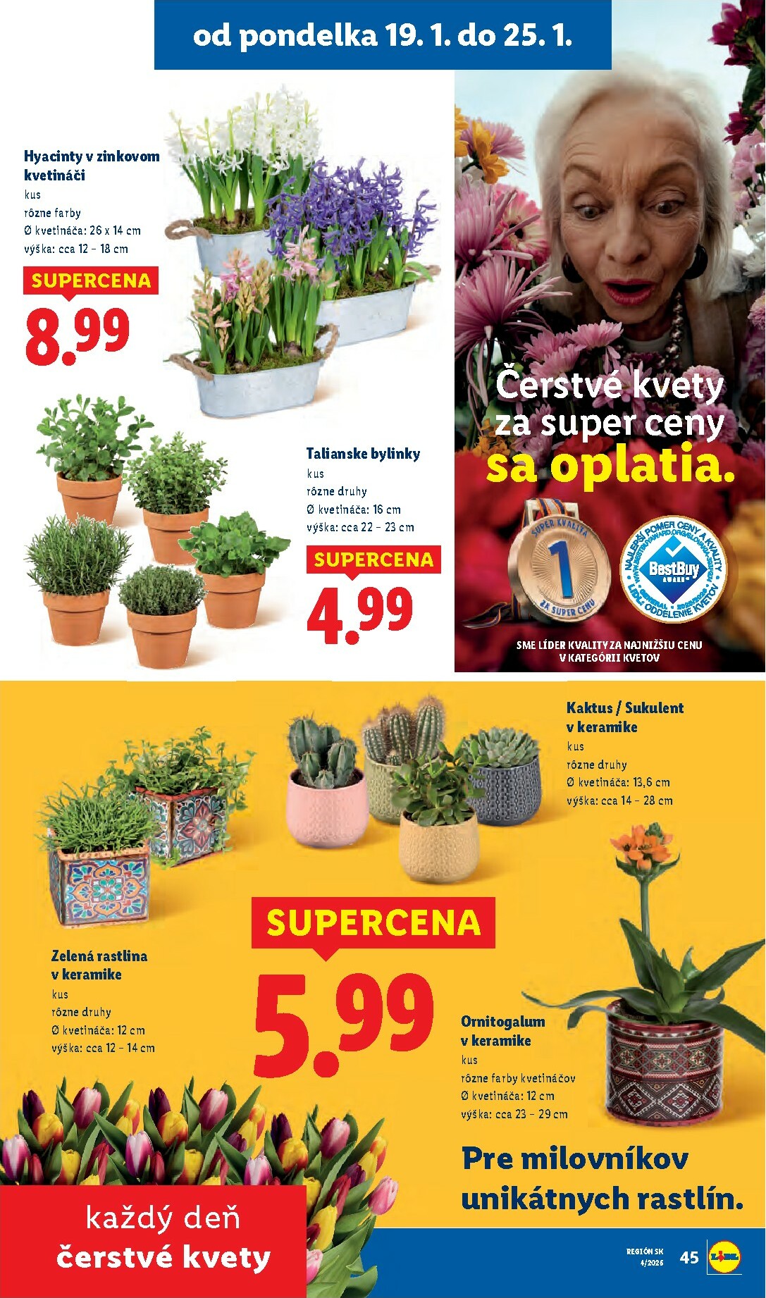 lidl - Leták Lidl platný od 19.01. do 25.01. - page: 46