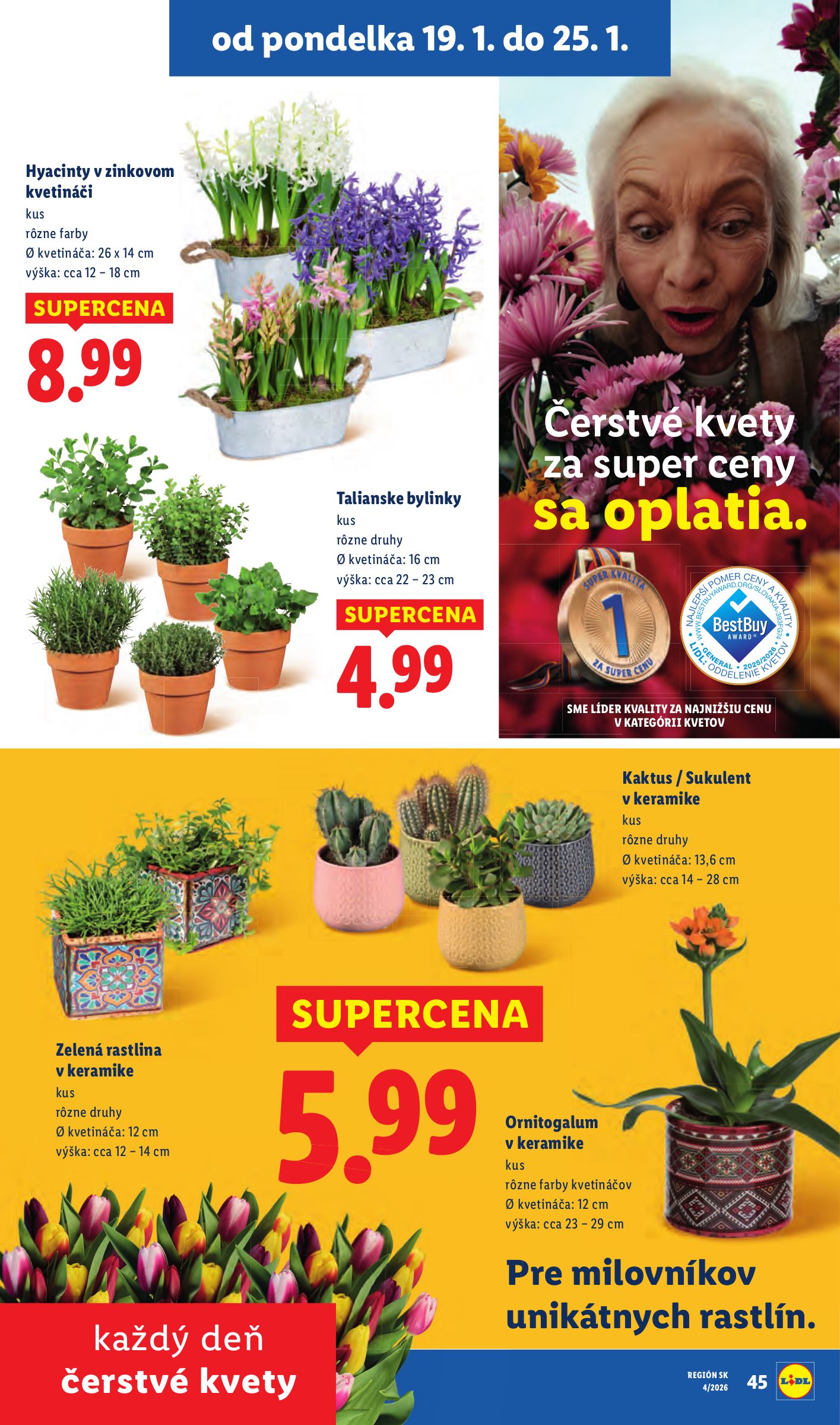 lidl - Leták Lidl platný od 22.01. do 25.01. - page: 78
