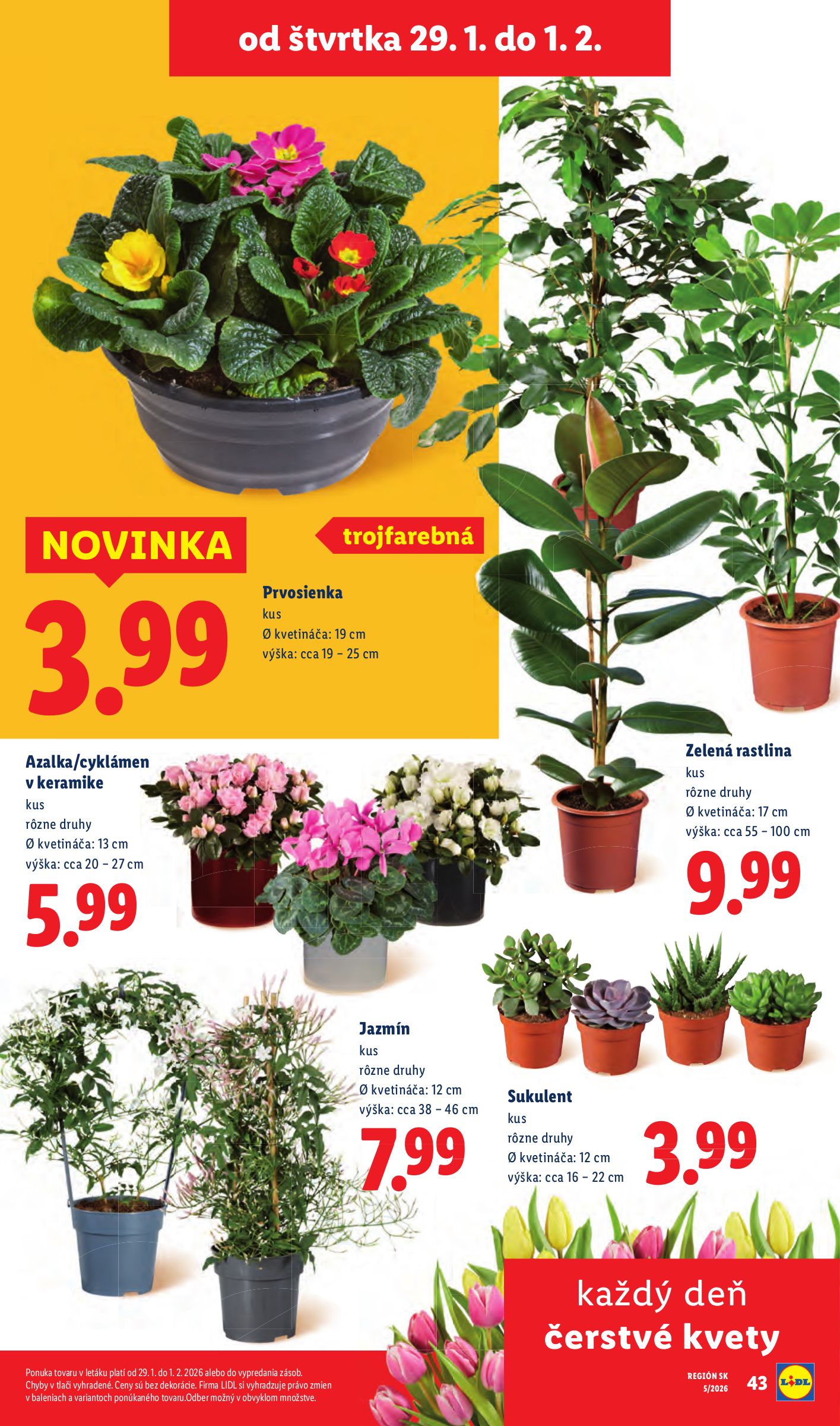lidl - Leták Lidl platný od 29.01. do 01.02. - page: 27