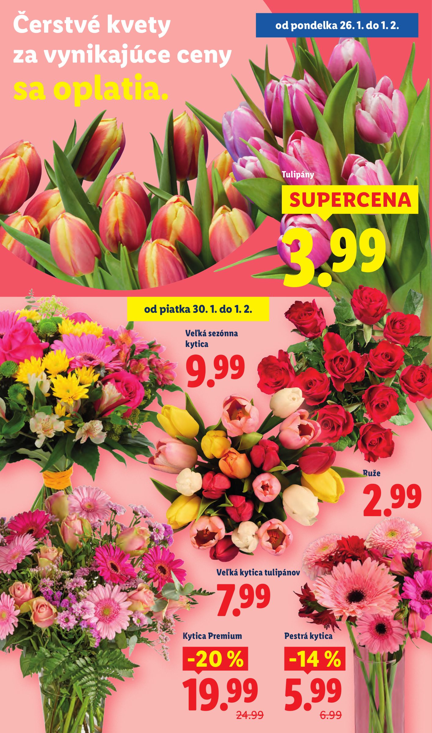 lidl - Leták Lidl platný od 29.01. do 01.02. - page: 76