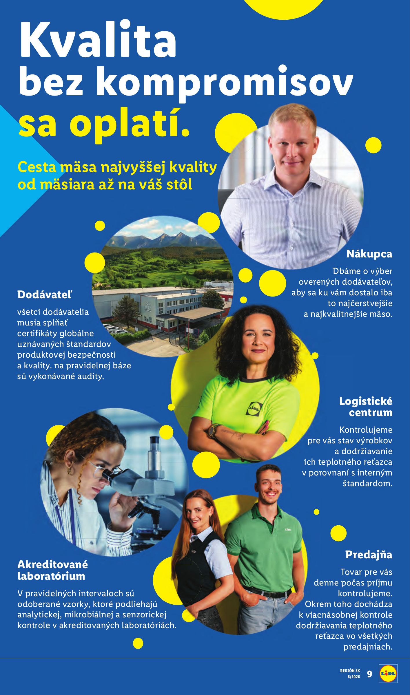 lidl - Leták Lidl platný od 05.02.2026 do 08.02.2026 - page: 17