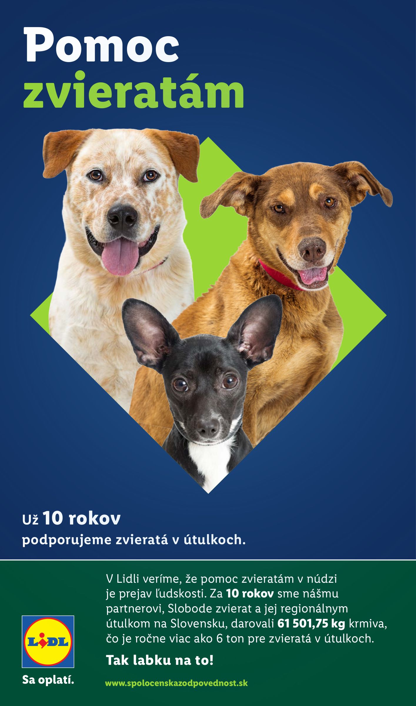 lidl - Leták Lidl platný od 12.02.2026 do 15.02.2026 - page: 105