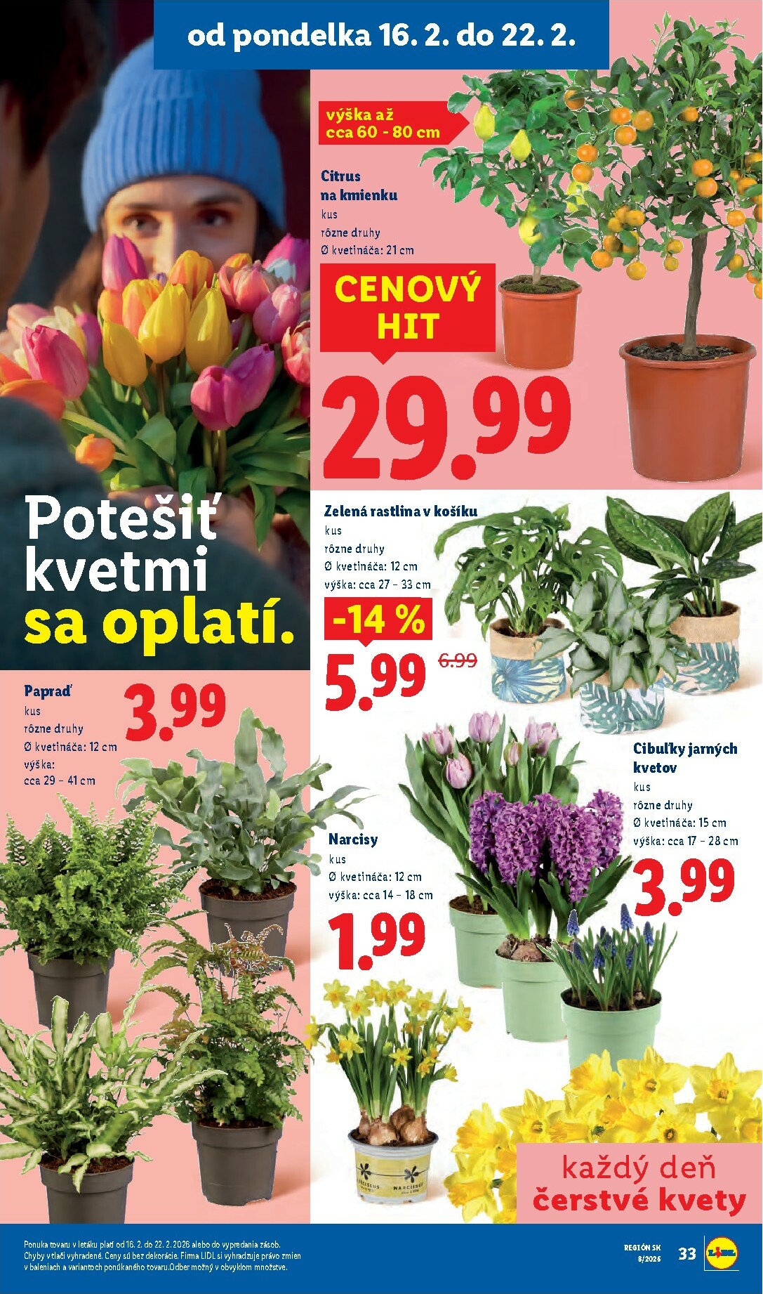 lidl - Leták Lidl platný od 16.02.2026 do 22.02.2026 - page: 35
