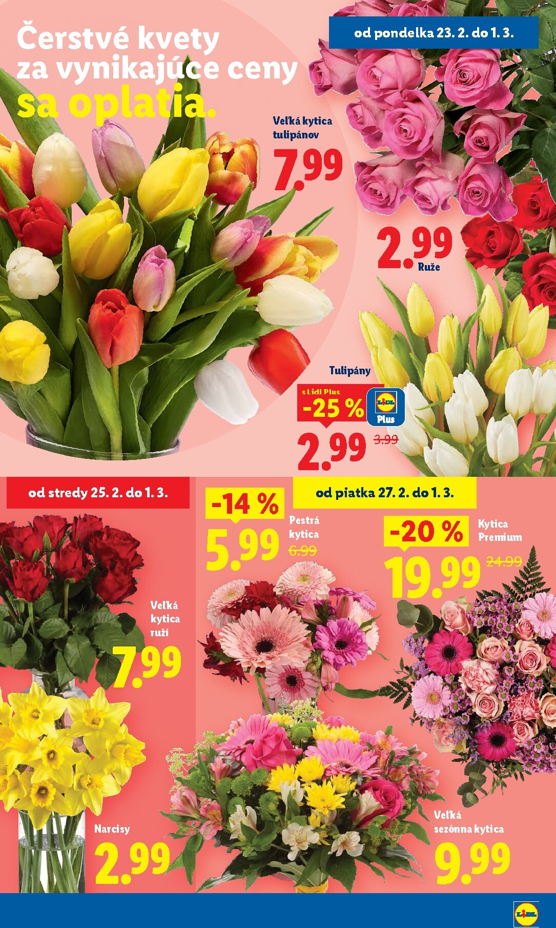 lidl - Leták Lidl platný od 23.02.2026 do 01.03.2026 - page: 40