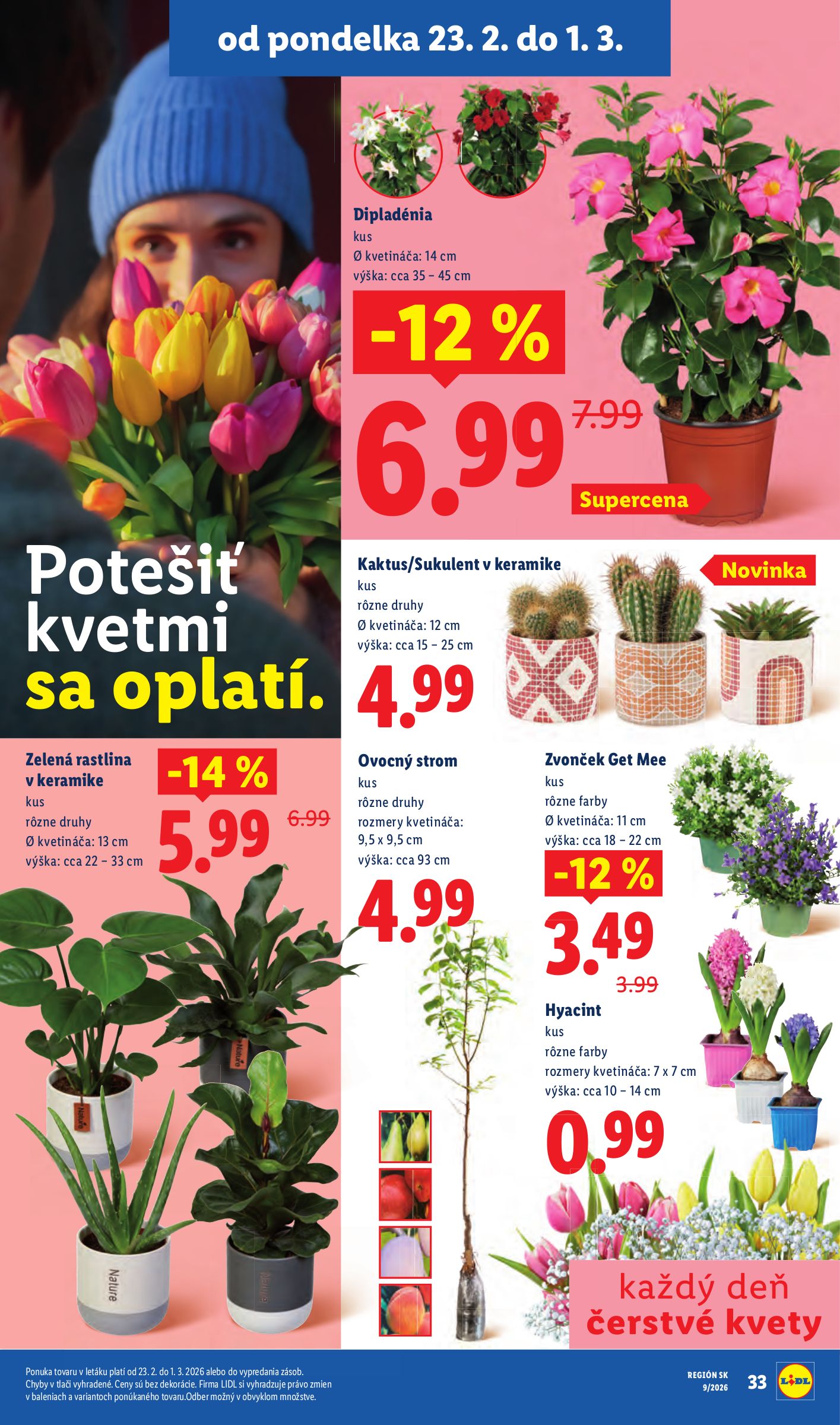 lidl - Leták Lidl platný od 26.02.2026 do 01.03.2026 - page: 77