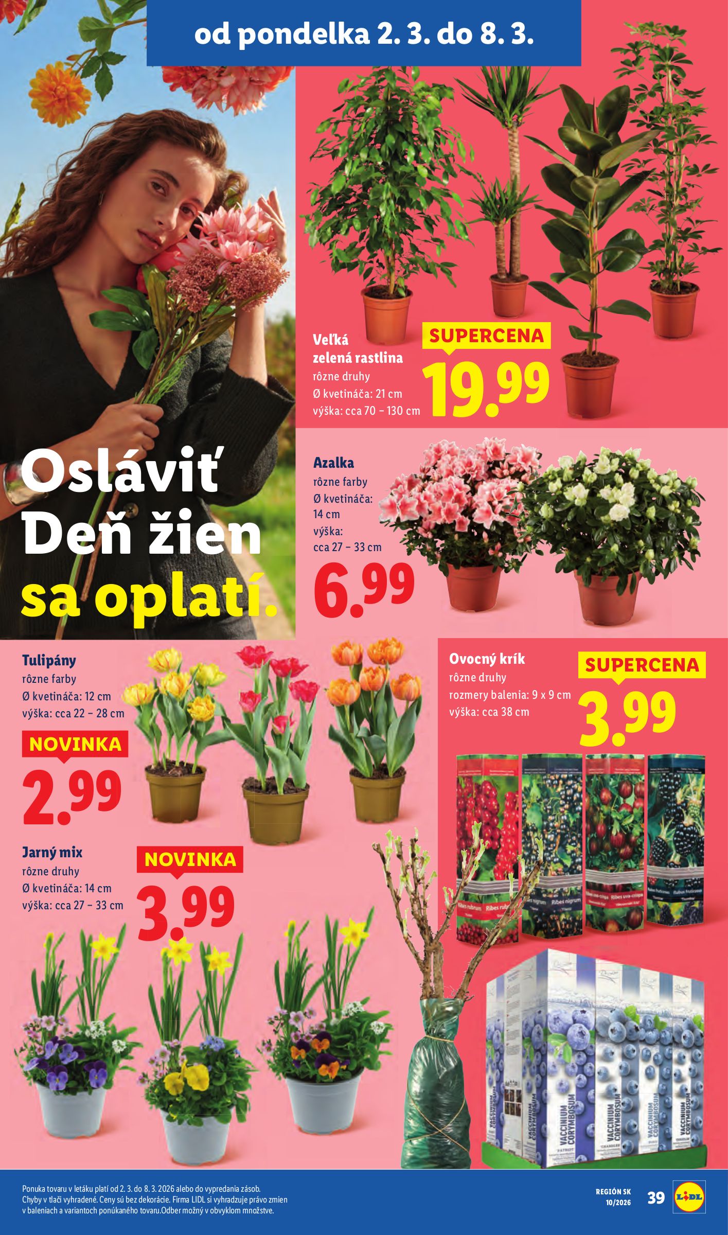 lidl - Leták Lidl platný od 05.03.2026 do 08.03.2026 - page: 75