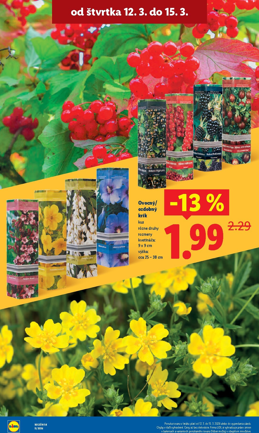 lidl - Leták Lidl platný od 09.03.2026 do 15.03.2026 - page: 74
