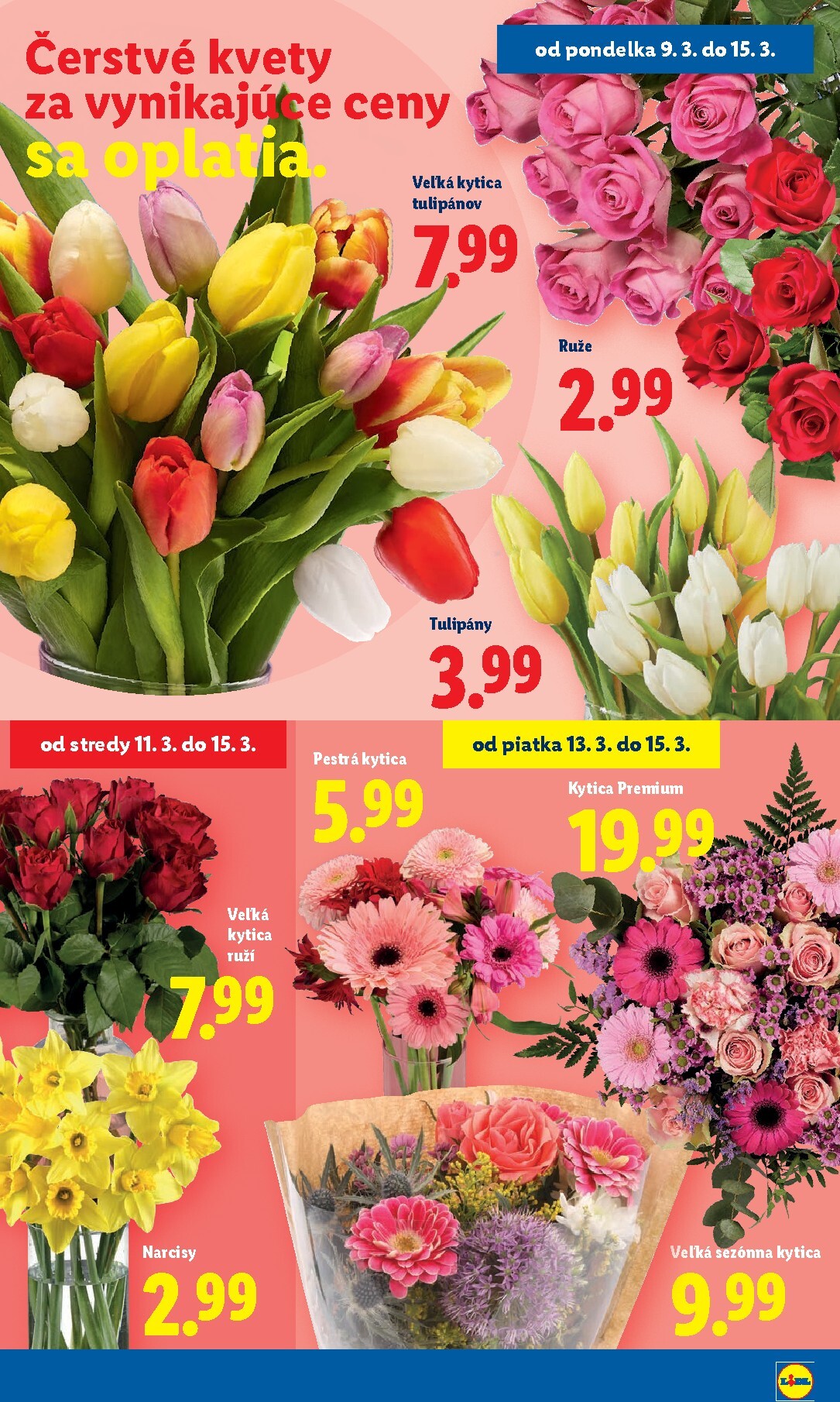 lidl - Leták Lidl platný od 09.03.2026 do 15.03.2026 - page: 41