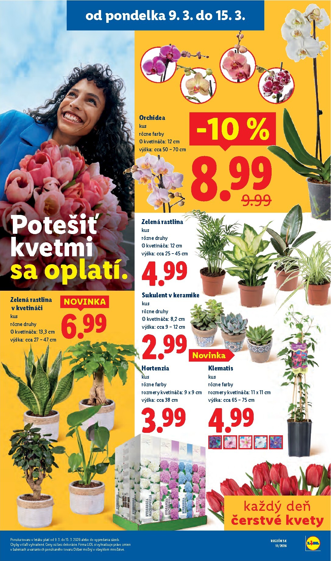 lidl - Leták Lidl platný od 09.03.2026 do 15.03.2026 - page: 40