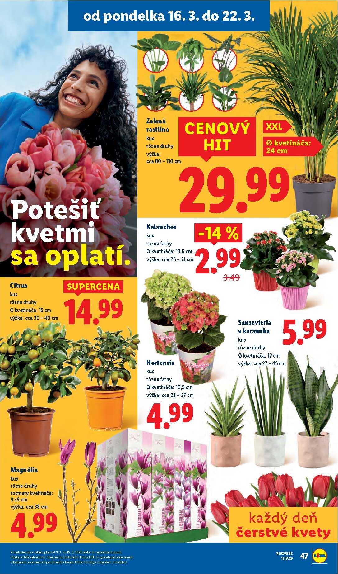lidl - Leták Lidl platný od 16.03.2026 do 22.03.2026 - page: 56
