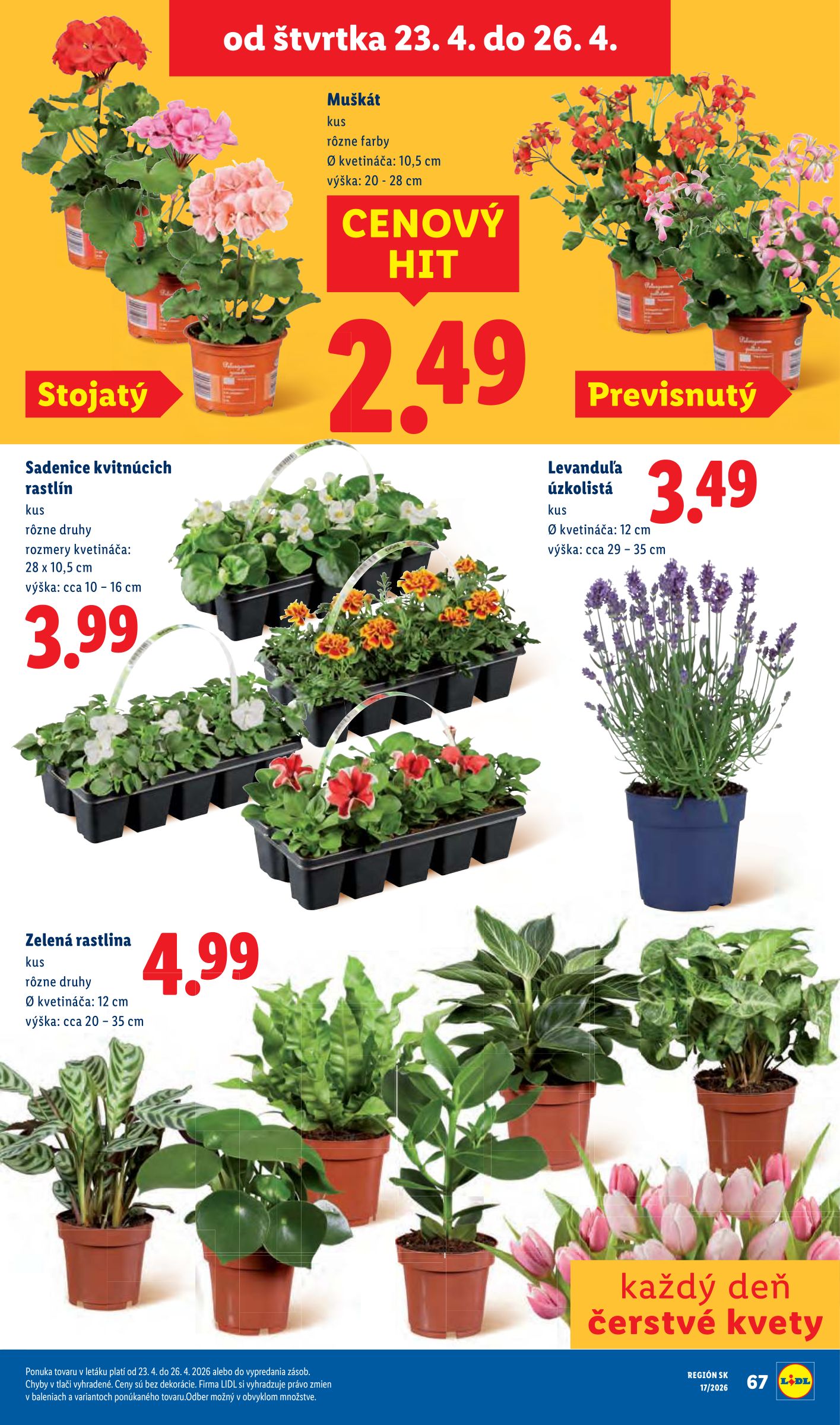 lidl - Nový leták Lidl od pondelka, 20.04.2026 do nedele, 26.04.2026 - page: 80