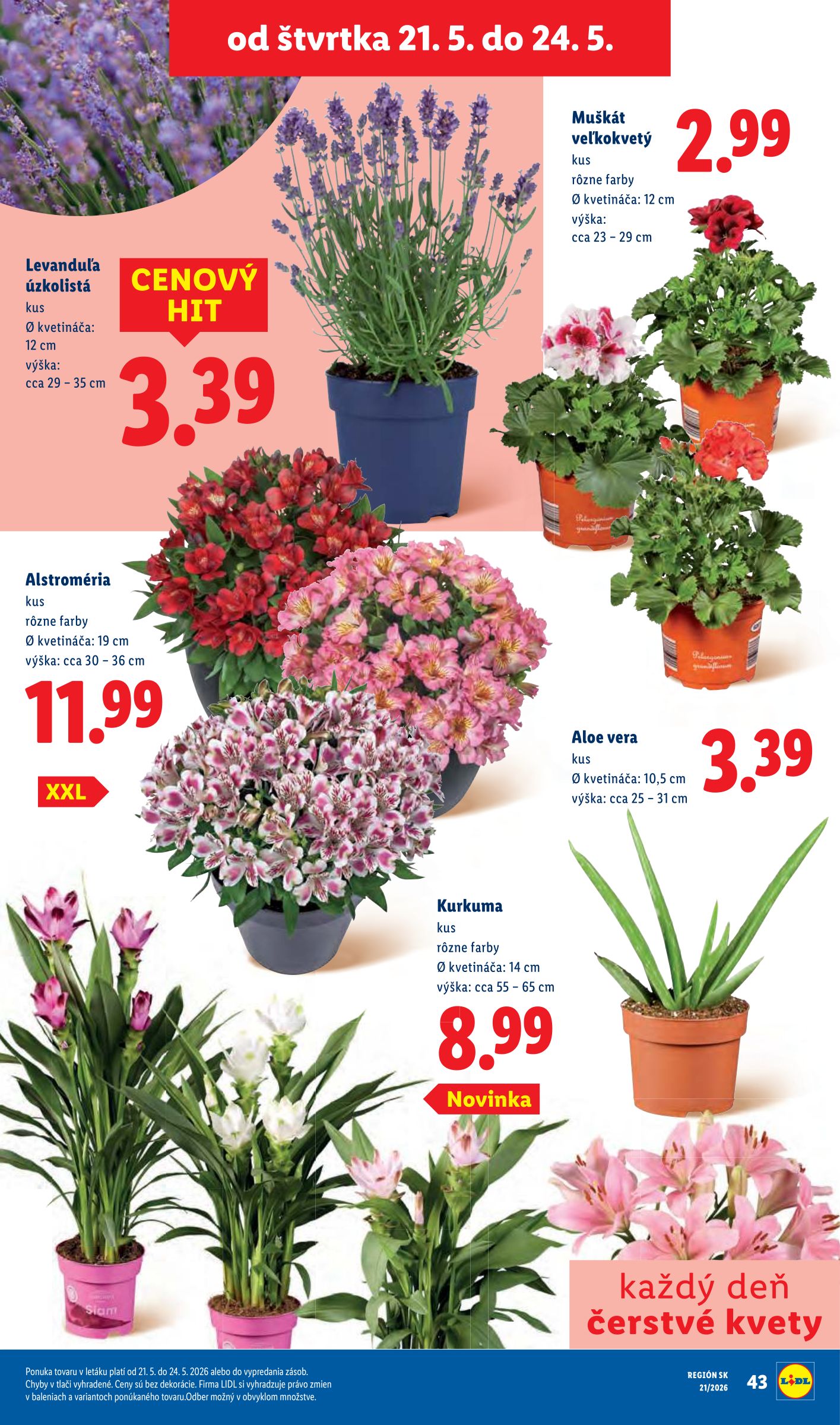 lidl - Nový Lidl leták od pondelka, 18.05.2026 do nedele, 24.05.2026 - page: 78