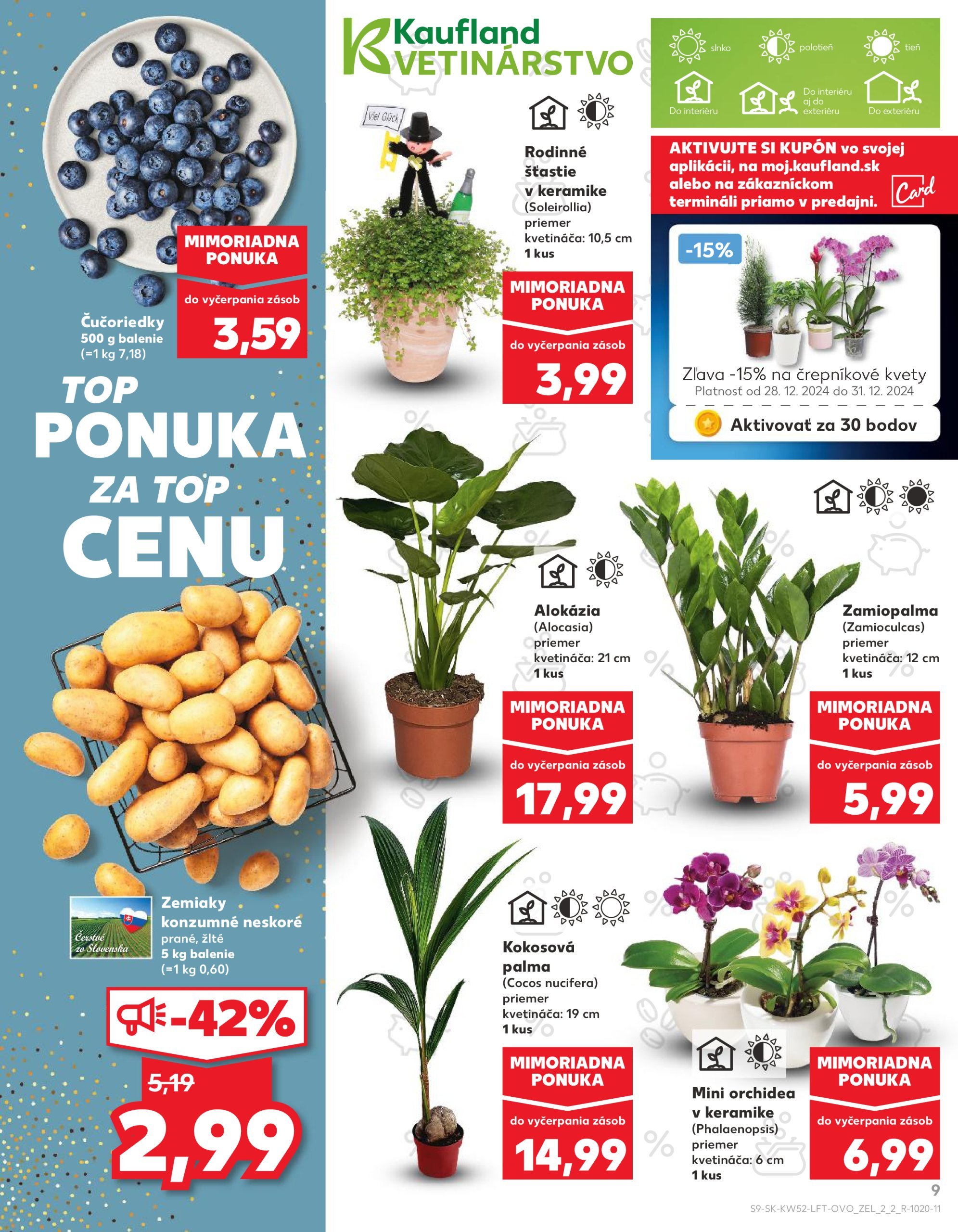 kaufland - Kaufland leták platný od 28.12. - 31.12. - page: 9