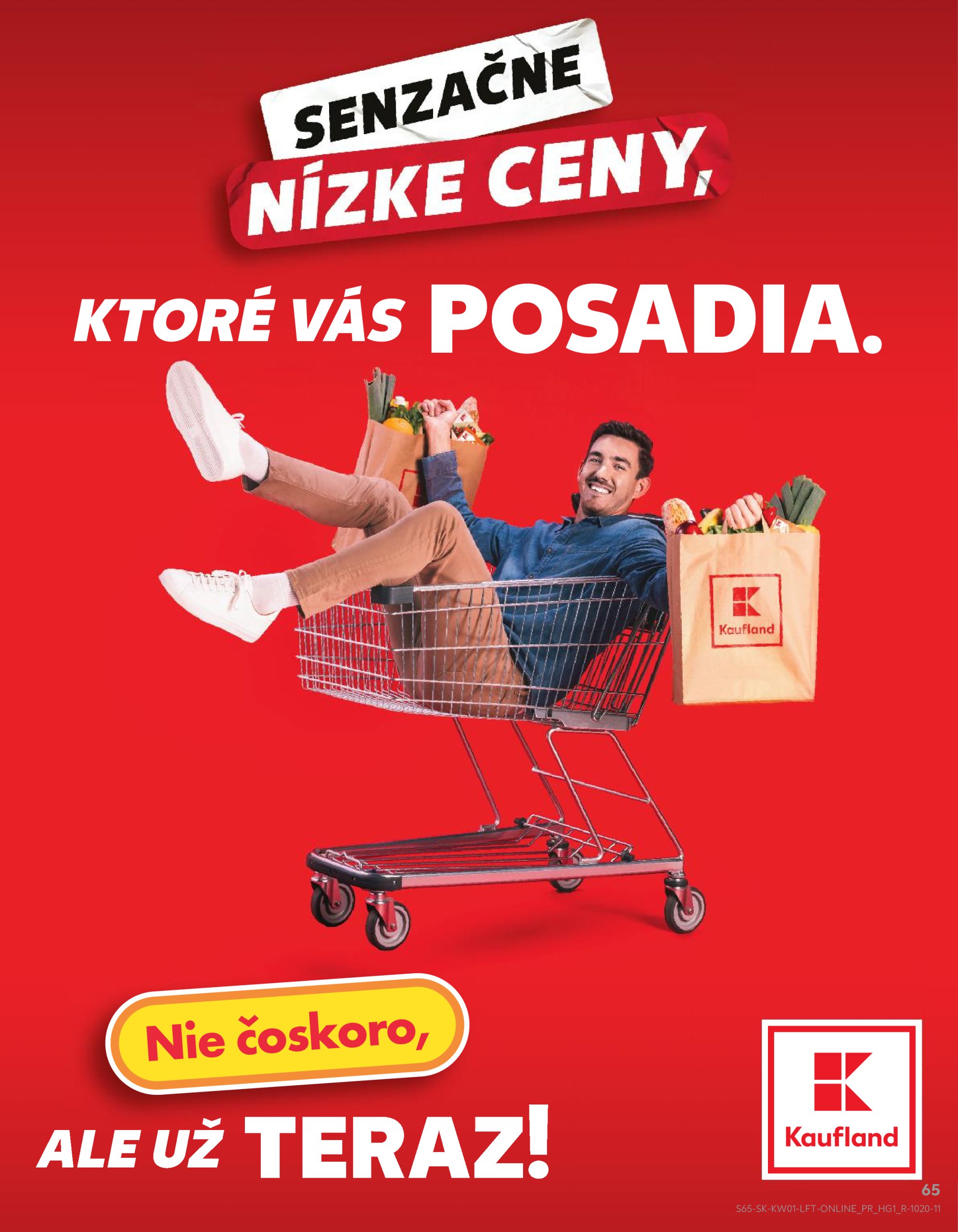 kaufland - Kaufland leták platný od 02.01. - 08.01. - page: 65