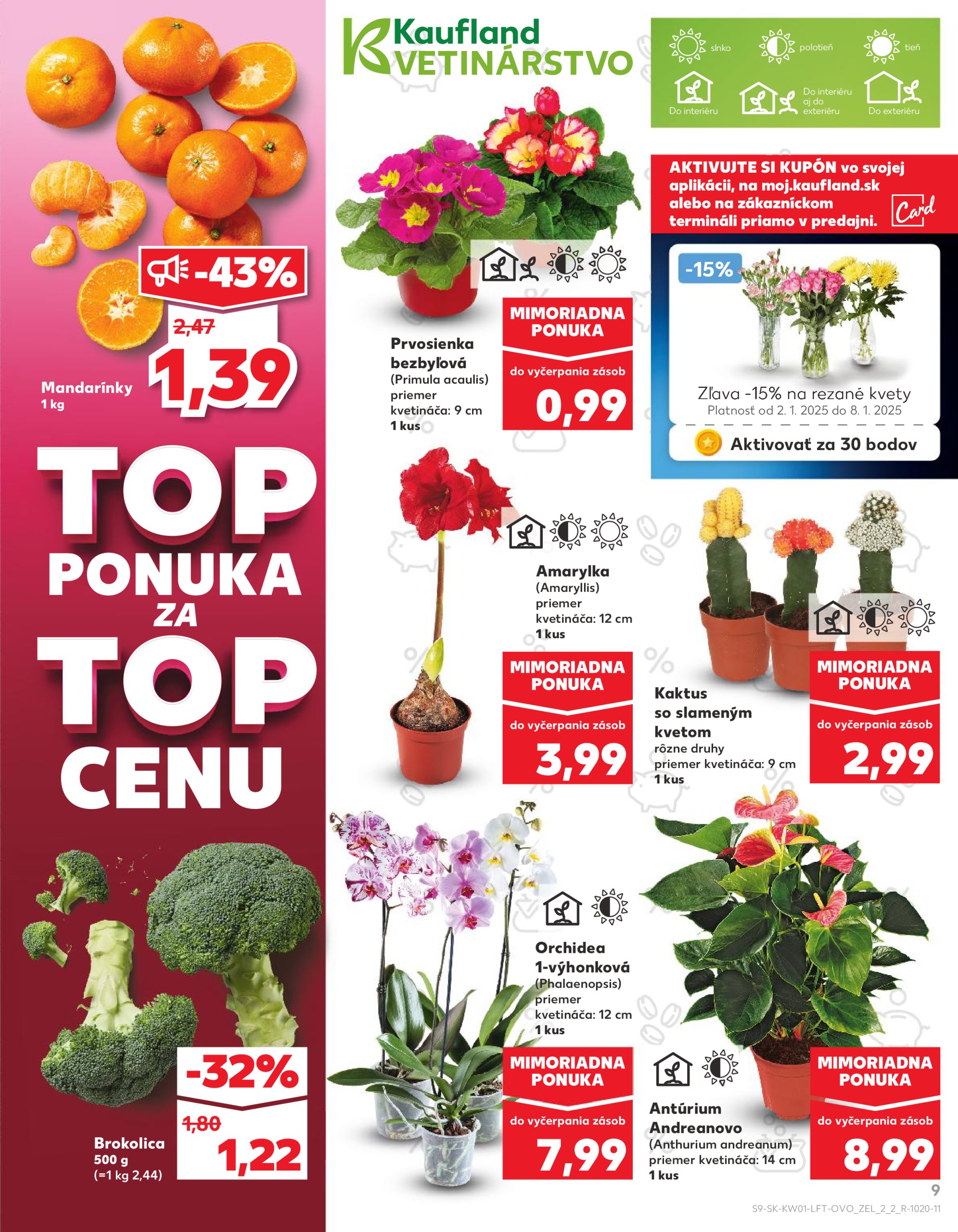 kaufland - Kaufland leták platný od 02.01. - 08.01. - page: 9