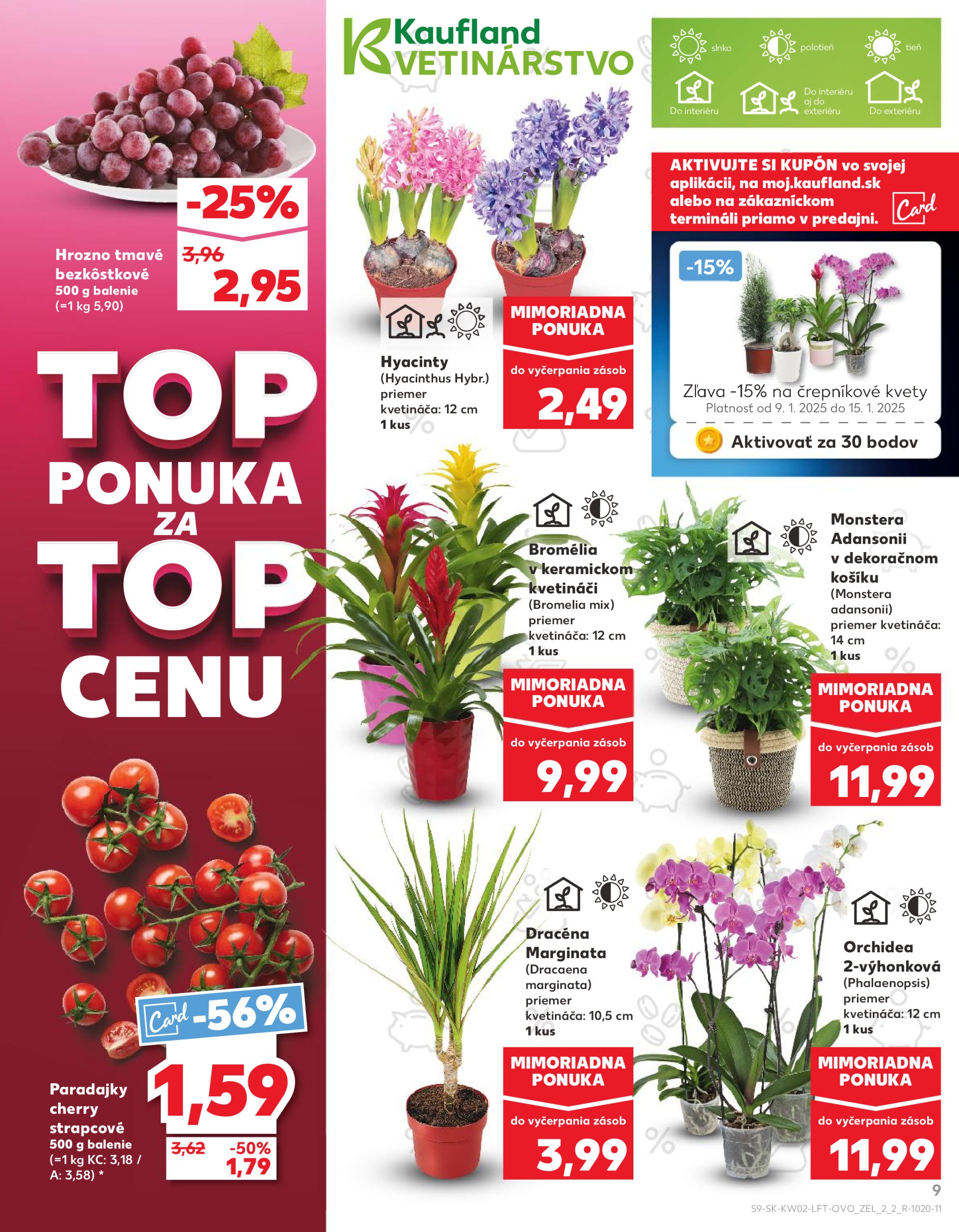 kaufland - Kaufland leták platný od 09.01. - 15.01. - page: 9