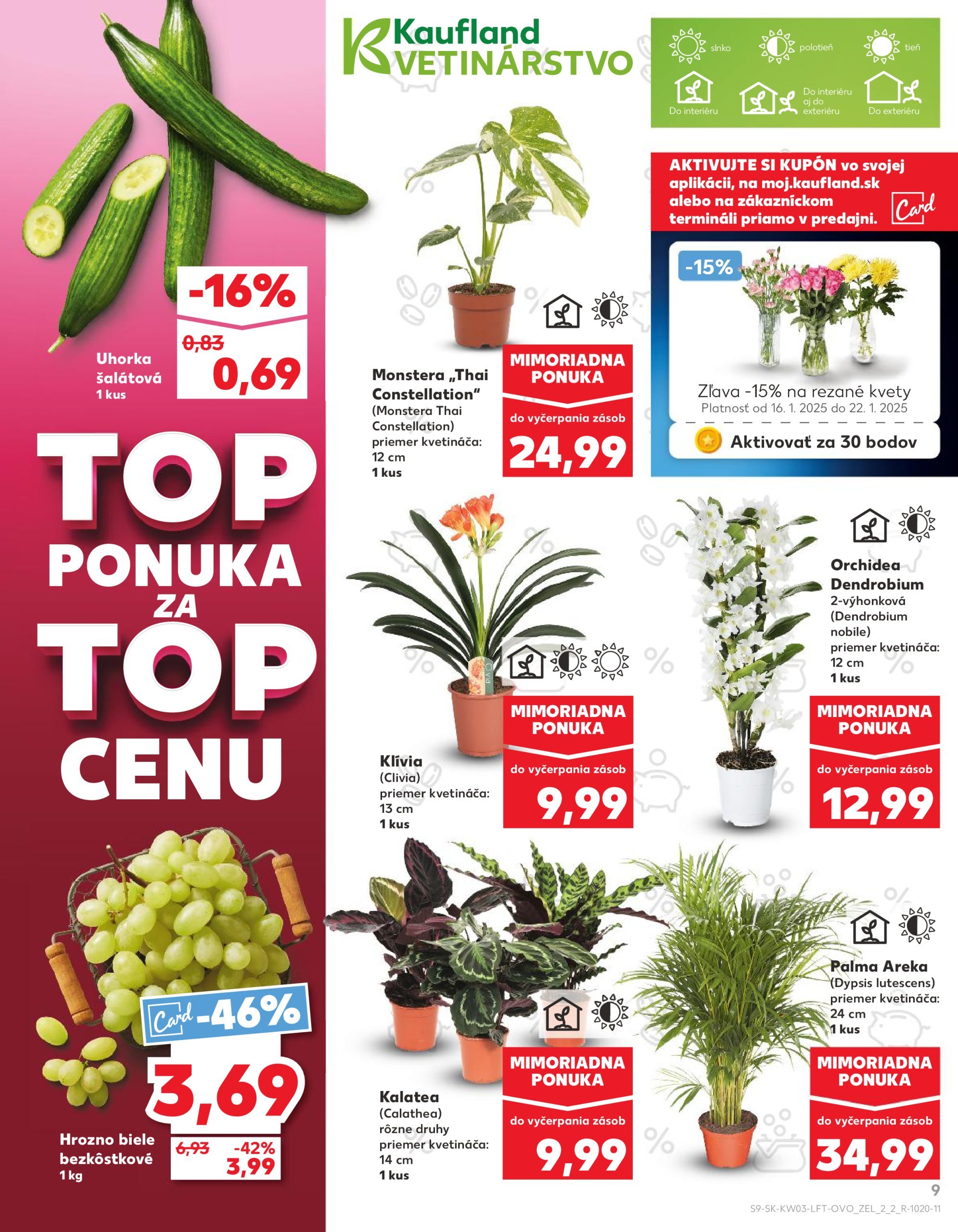 kaufland - Kaufland leták platný od 16.01. - 22.01. - page: 9