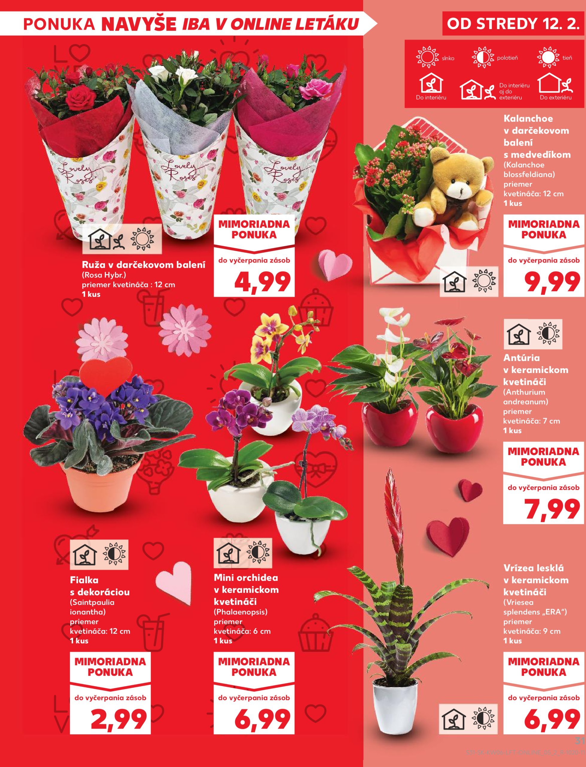 kaufland - Kaufland leták platný od 06.02. - 12.02. - page: 31