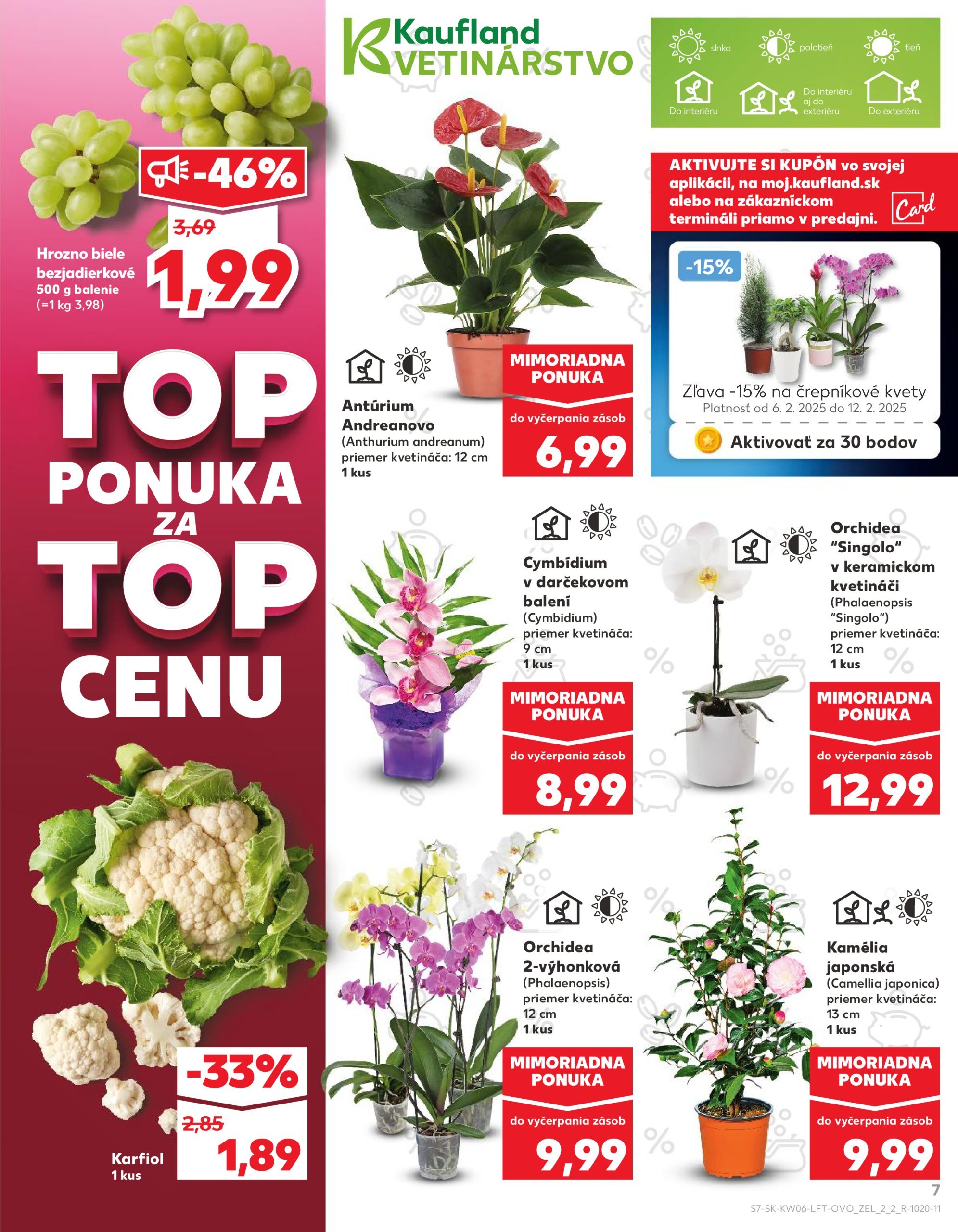 kaufland - Kaufland leták platný od 06.02. - 12.02. - page: 7