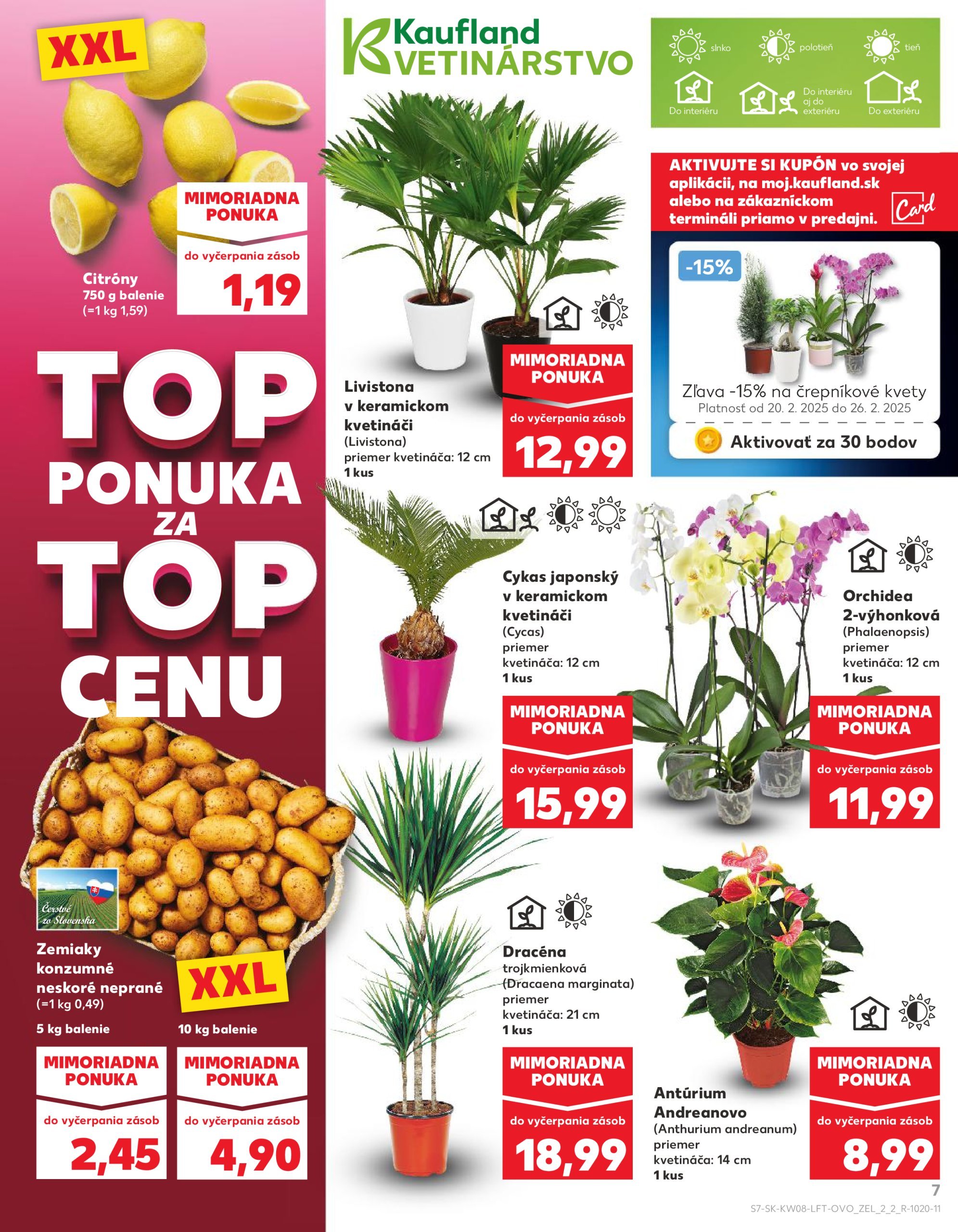 kaufland - Kaufland leták platný od 20.02. - 26.02. - page: 7