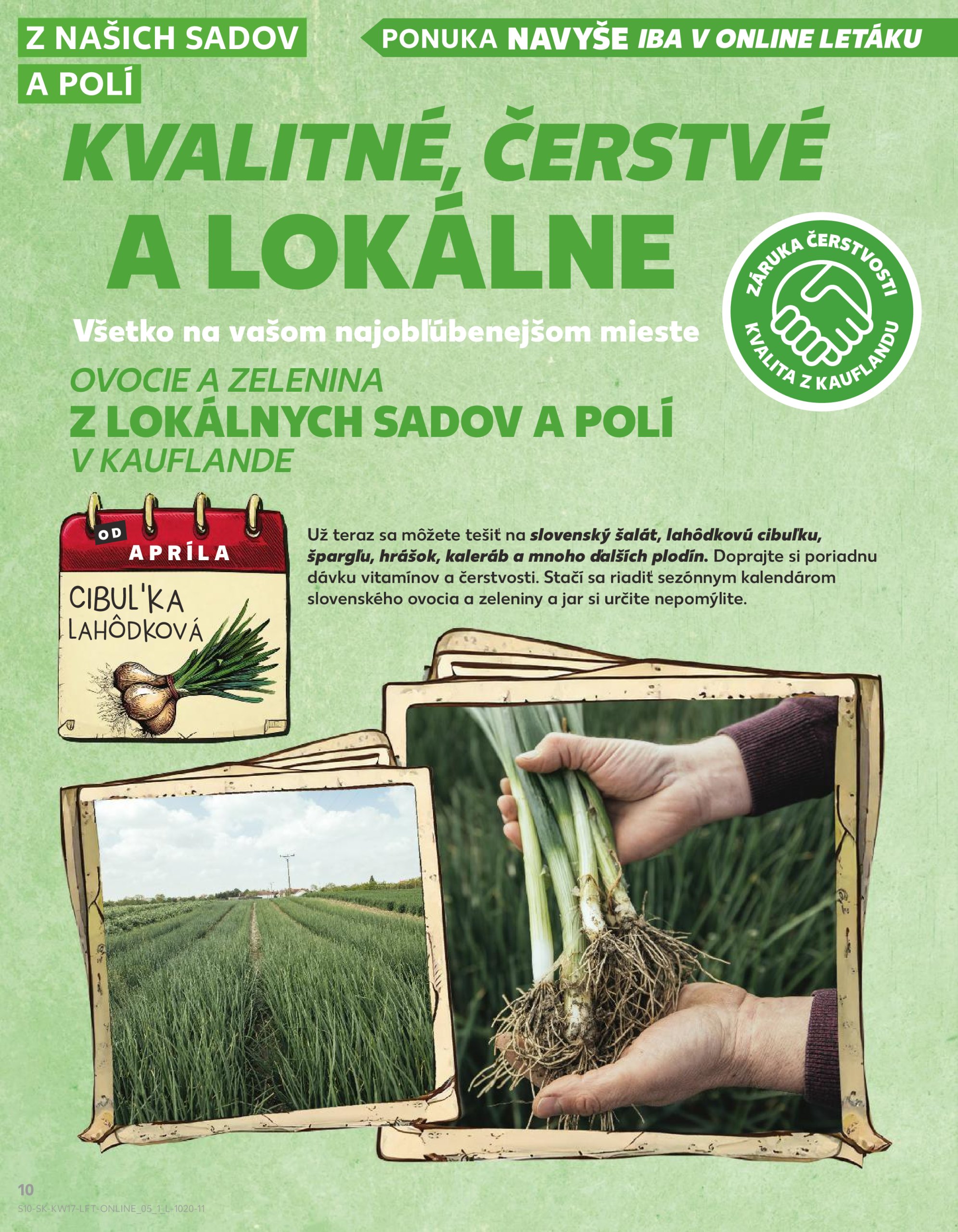 kaufland - Kaufland leták platný od 24.04. - 29.04. - page: 10 kaufland - Kaufland leták platný od 24.04. - 29.04. - page: 10