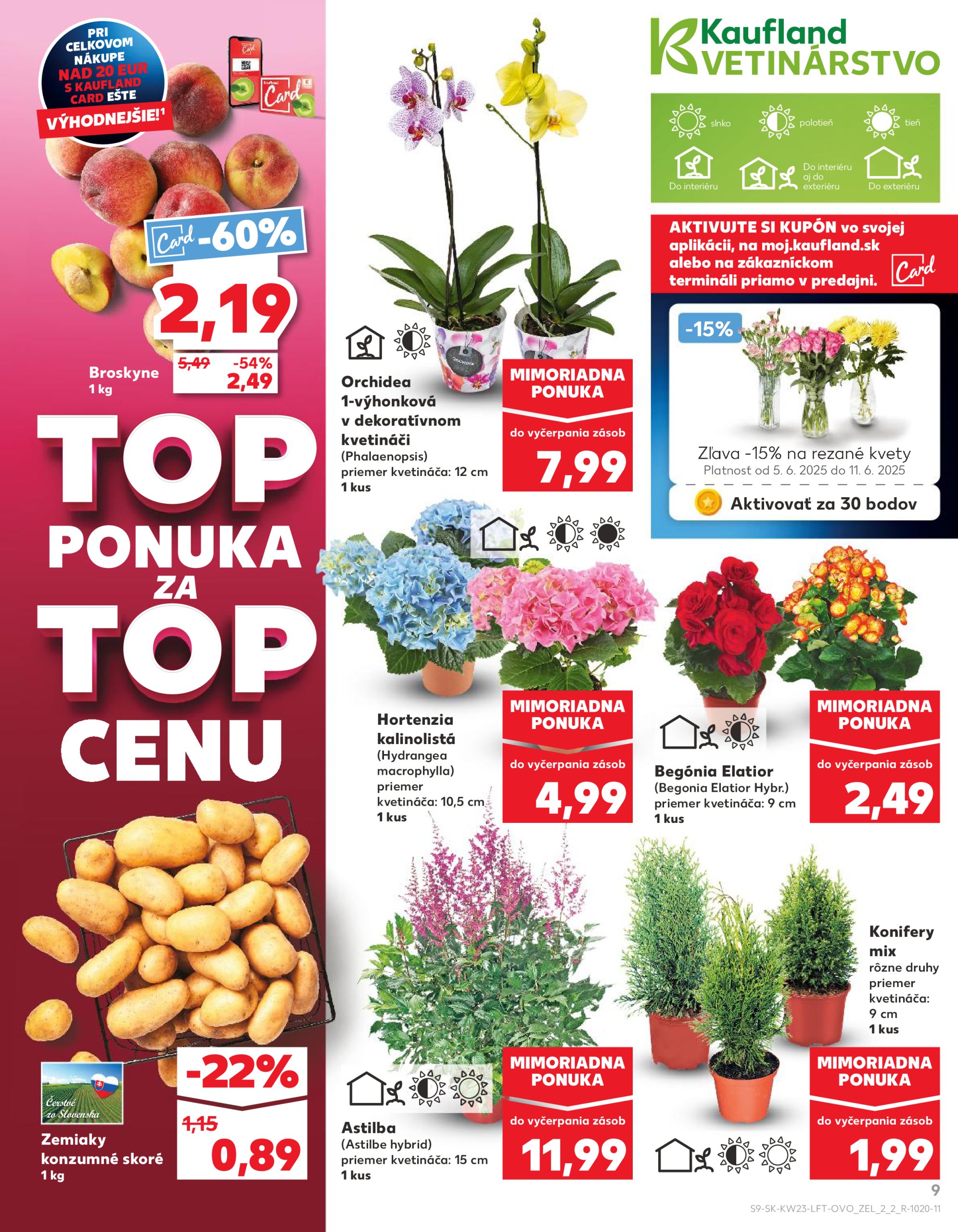 kaufland - Kaufland leták platný od 05.06. - 11.06. - page: 9 kaufland - Kaufland leták platný od 05.06. - 11.06. - page: 9
