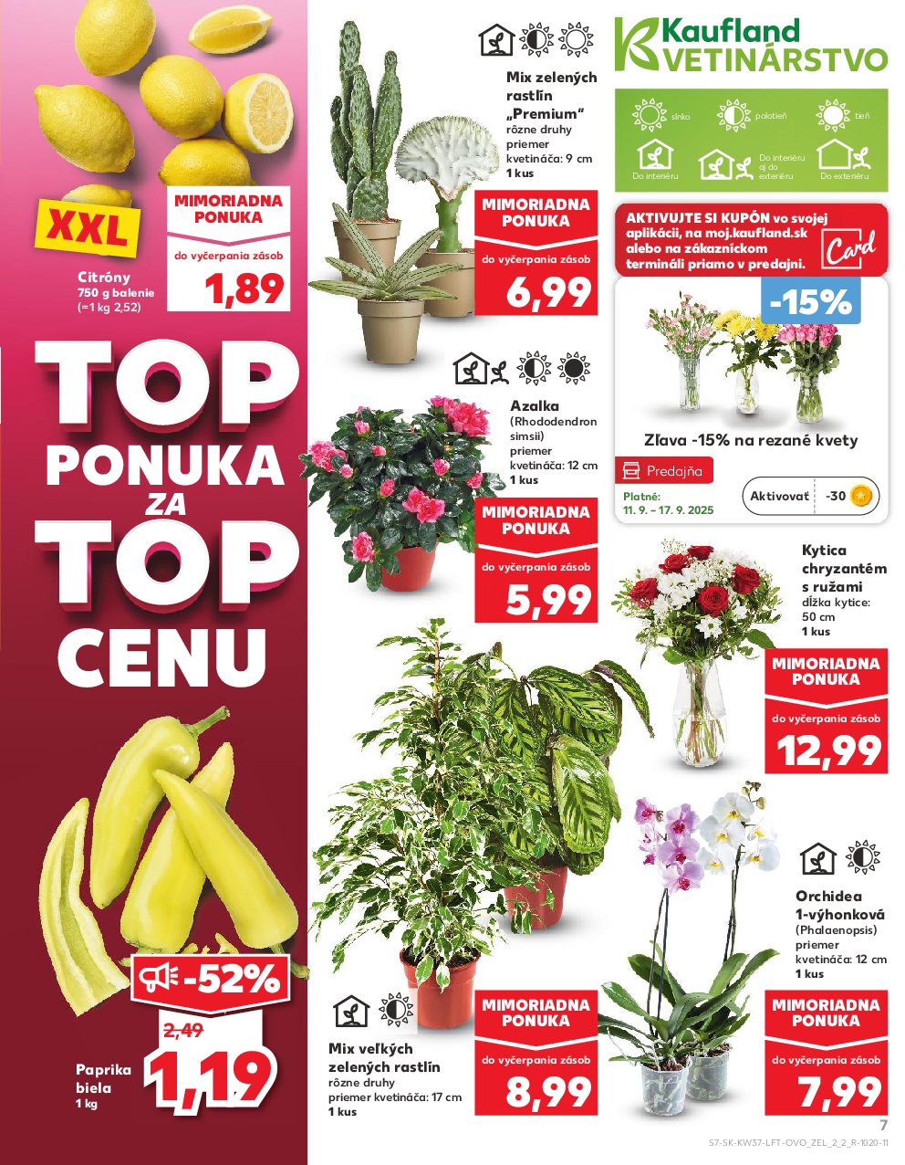 kaufland - Leták Kaufland platný od 11.09. do 17.09. - page: 7
