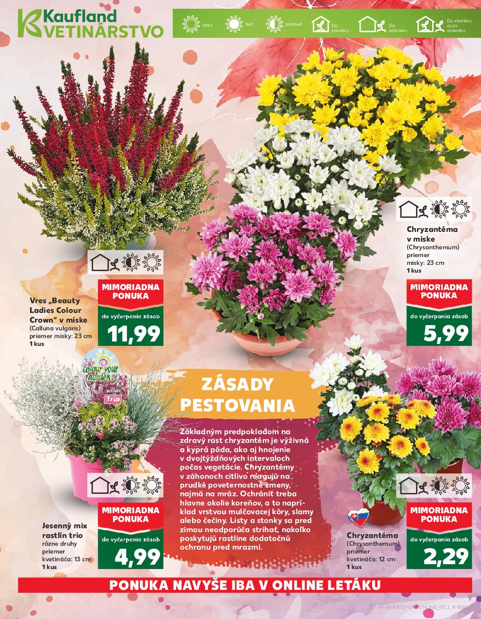 kaufland - Leták Kaufland platný od 11.09. do 17.09. - page: 9
