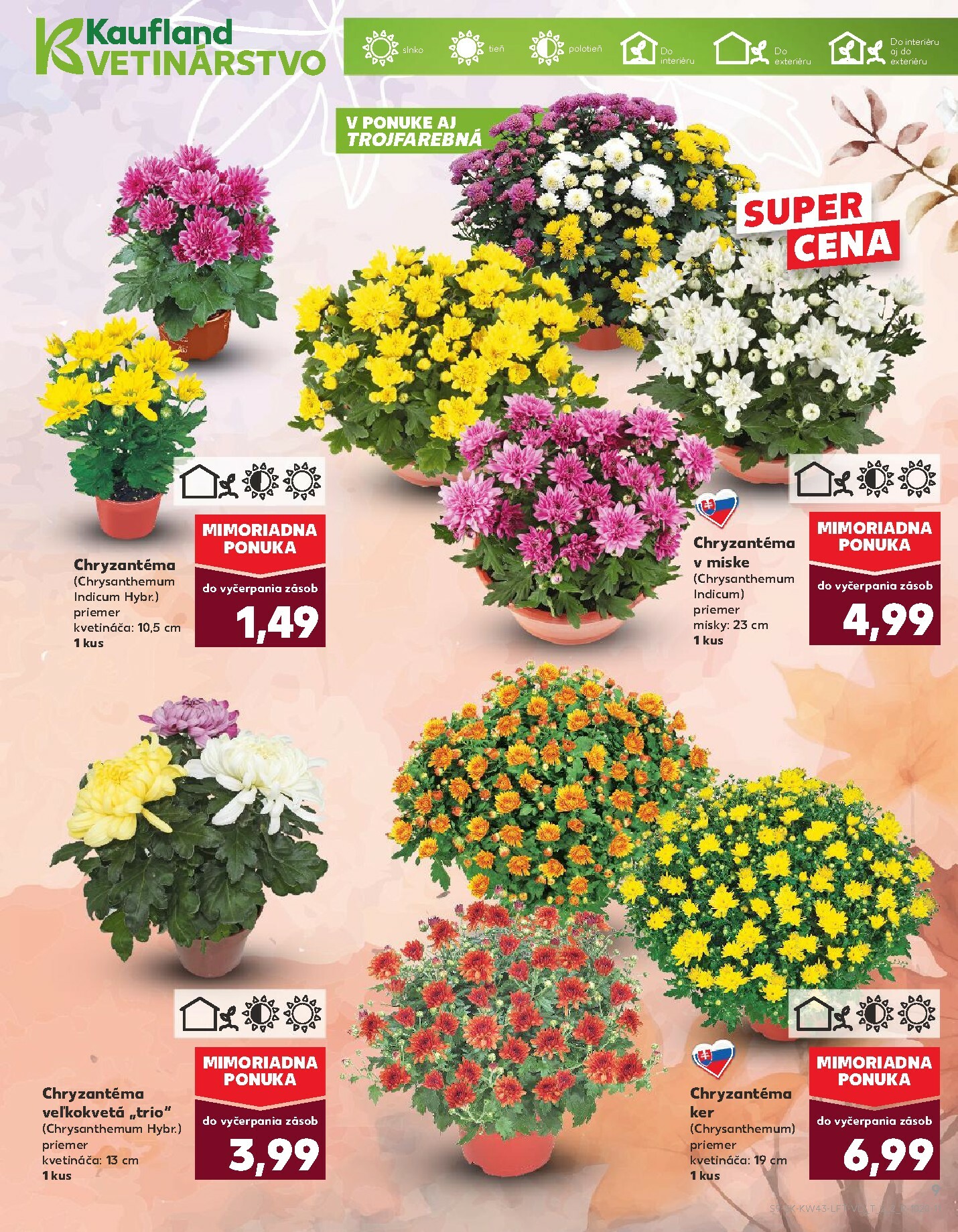 kaufland - Leták Kaufland platný od 23.10. do 29.10. - page: 9 kaufland - Leták Kaufland platný od 23.10. do 29.10. - page: 9