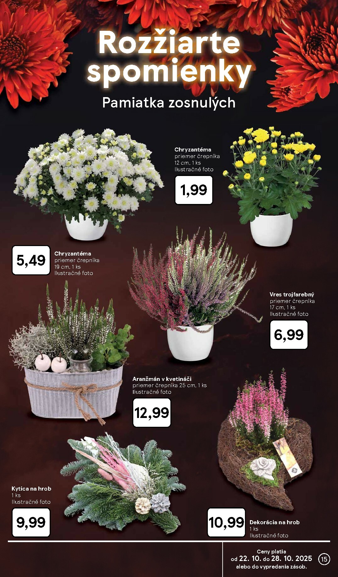 tesco - Leták Tesco platný od 22.10. do 28.10. - page: 15 tesco - Leták Tesco platný od 22.10. do 28.10. - page: 15