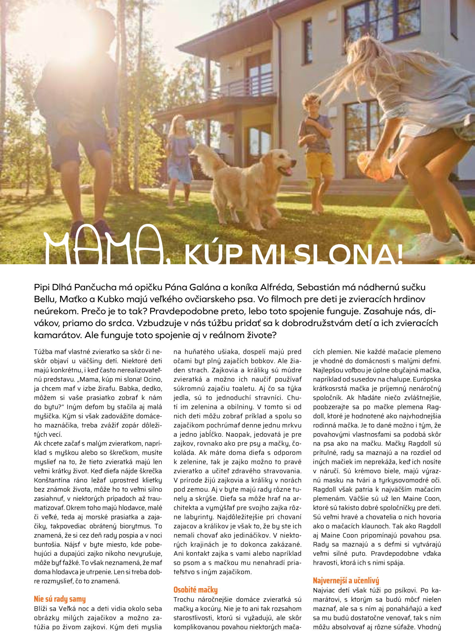 coop-jednota - COOP Jednota - Tempo leták platný od 29.05. - 04.06. - page: 54 coop-jednota - COOP Jednota - Tempo leták platný od 29.05. - 04.06. - page: 54