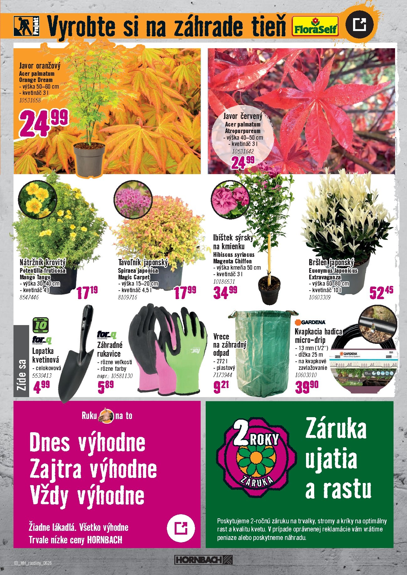 hornbach - Aktuálny HORNBACH - Vonkajšie rastliny leták od stredy, 10.06.2026 do stredy, 24.06.2026 - page: 3