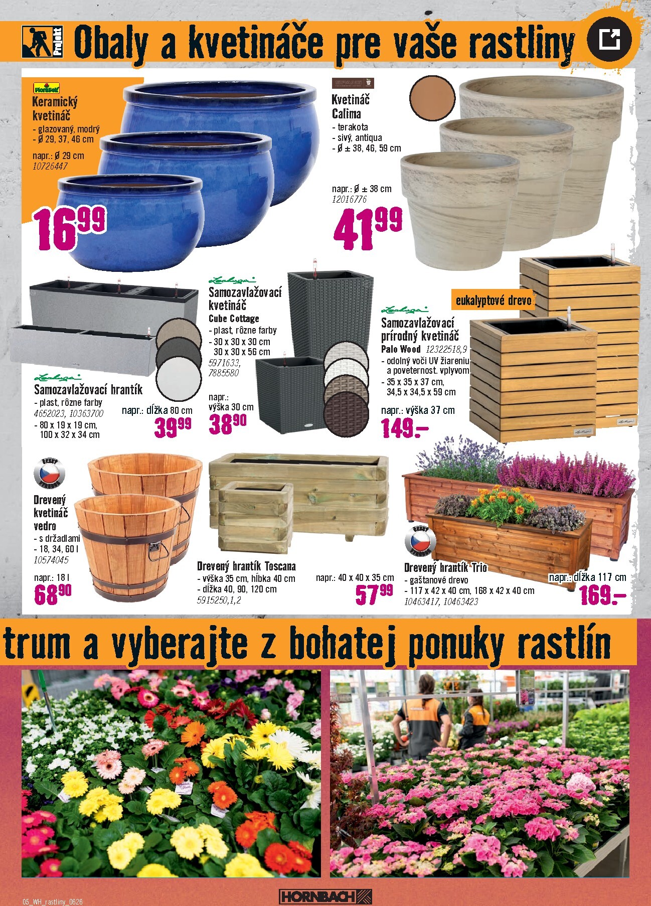 hornbach - Aktuálny HORNBACH - Vonkajšie rastliny leták od stredy, 10.06.2026 do stredy, 24.06.2026 - page: 5