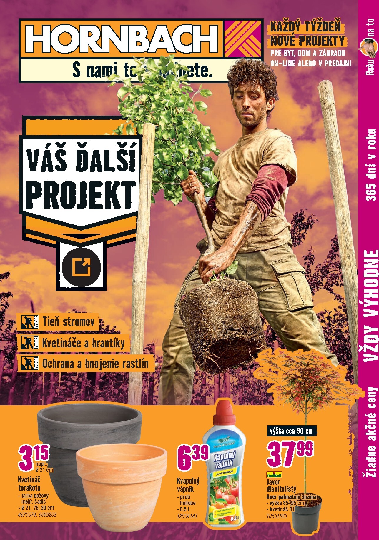 hornbach - Aktuálny HORNBACH - Vonkajšie rastliny leták od stredy, 10.06.2026 do stredy, 24.06.2026 - page: 1