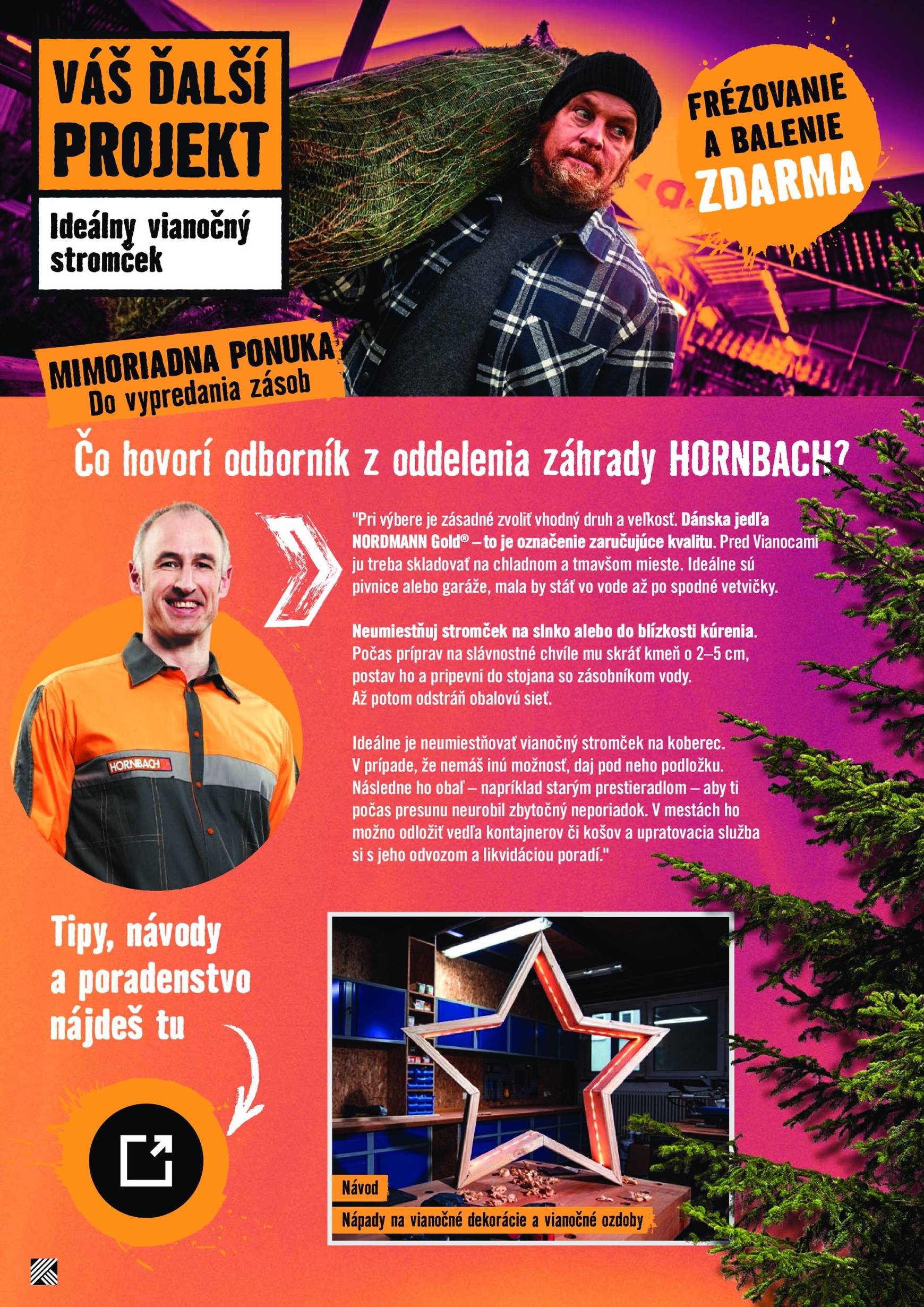 hornbach - HORNBACH - Vianočné stromčeky leták platný od 27.11. - 11.12. - page: 2