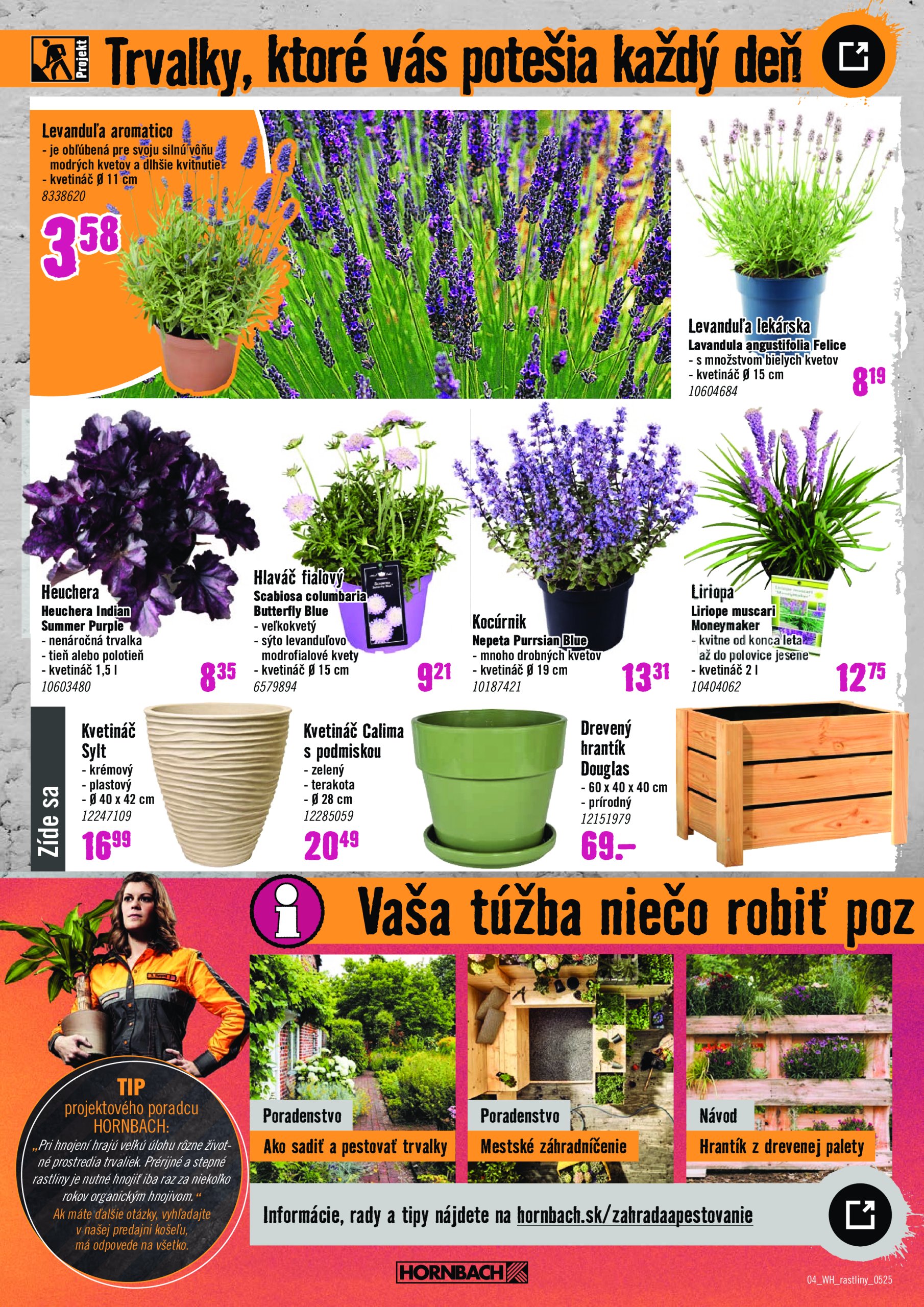 hornbach - HORNBACH - Festival rostlin leták platný od 21.05. - 04.06. - page: 4