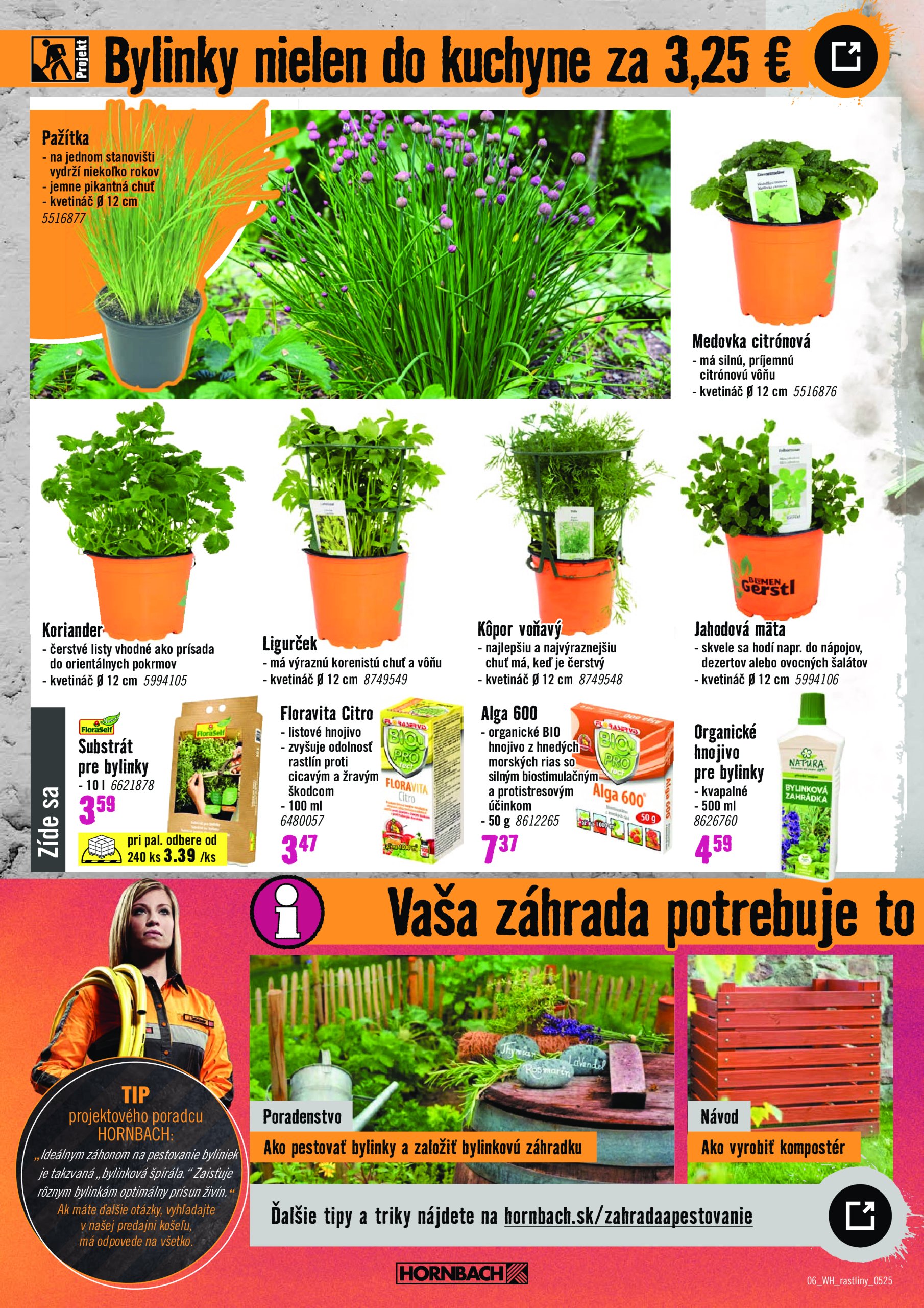 hornbach - HORNBACH - Festival rostlin leták platný od 21.05. - 04.06. - page: 6