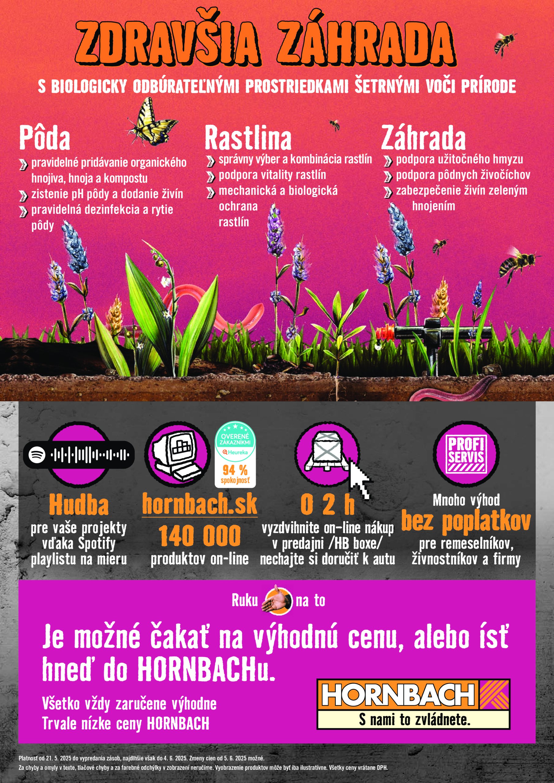 hornbach - HORNBACH - Festival rostlin leták platný od 21.05. - 04.06. - page: 8