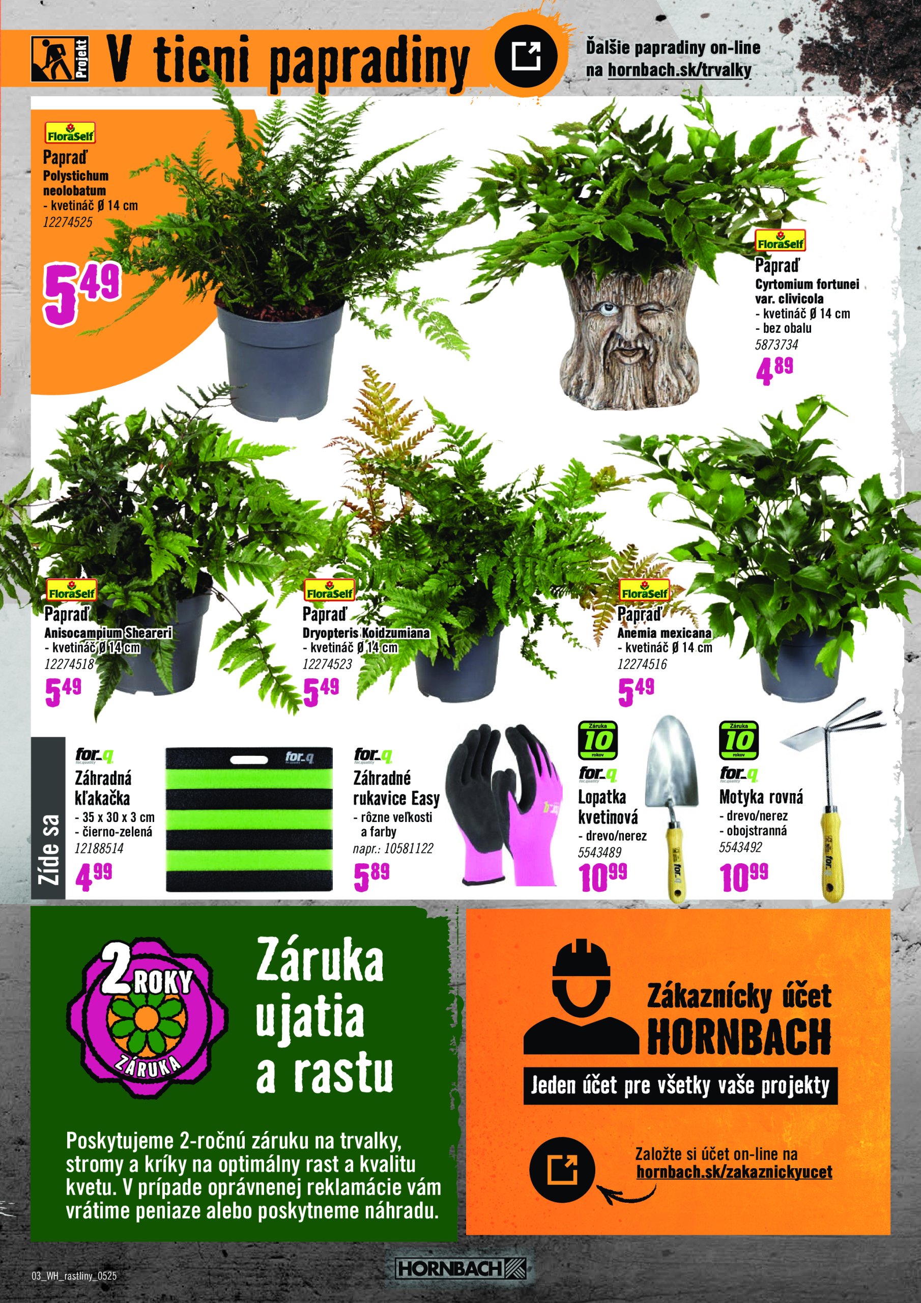 hornbach - HORNBACH - Festival rostlin leták platný od 21.05. - 04.06. - page: 3